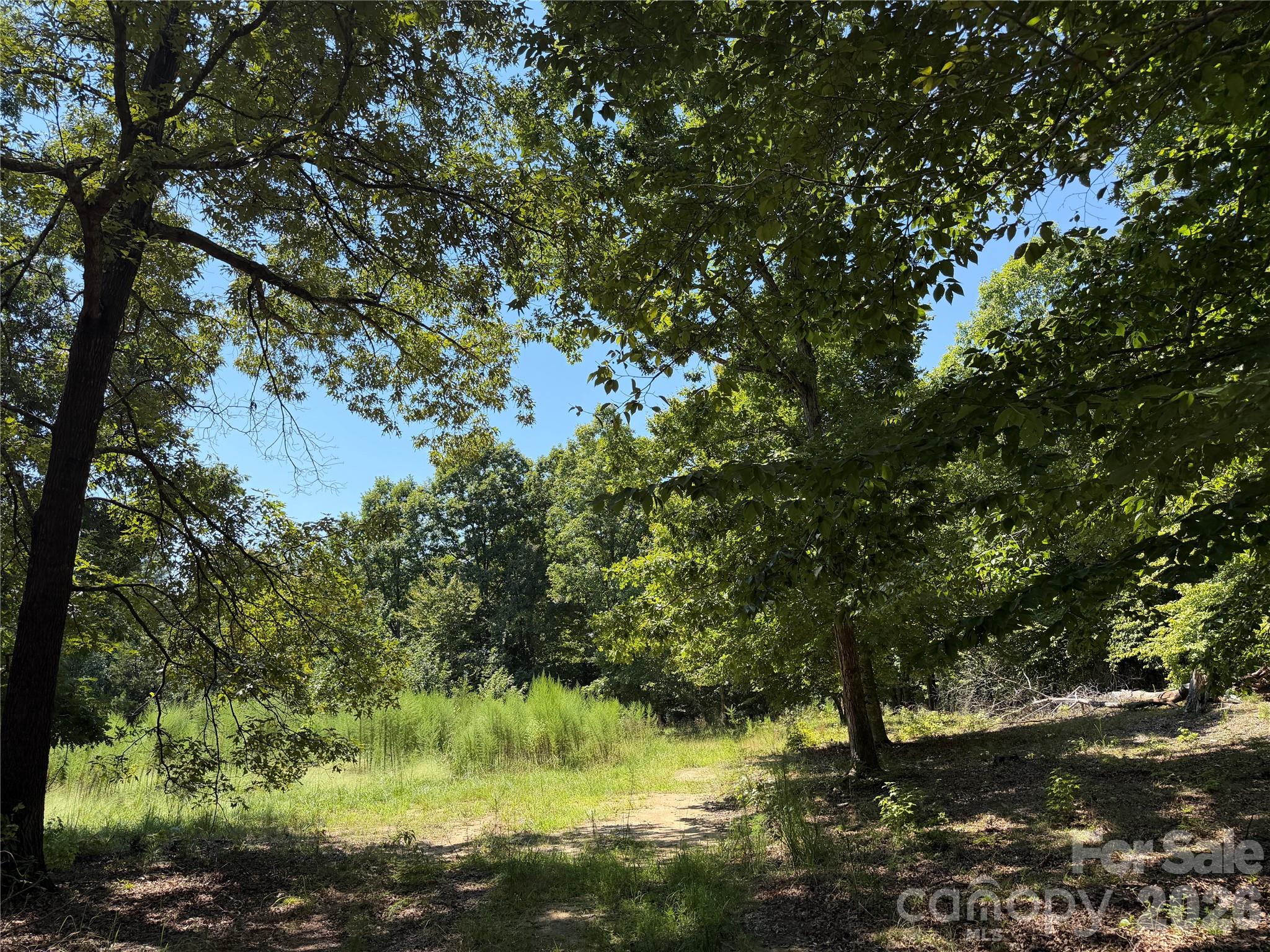 7608 Ander Vincent Road Property Photo 13