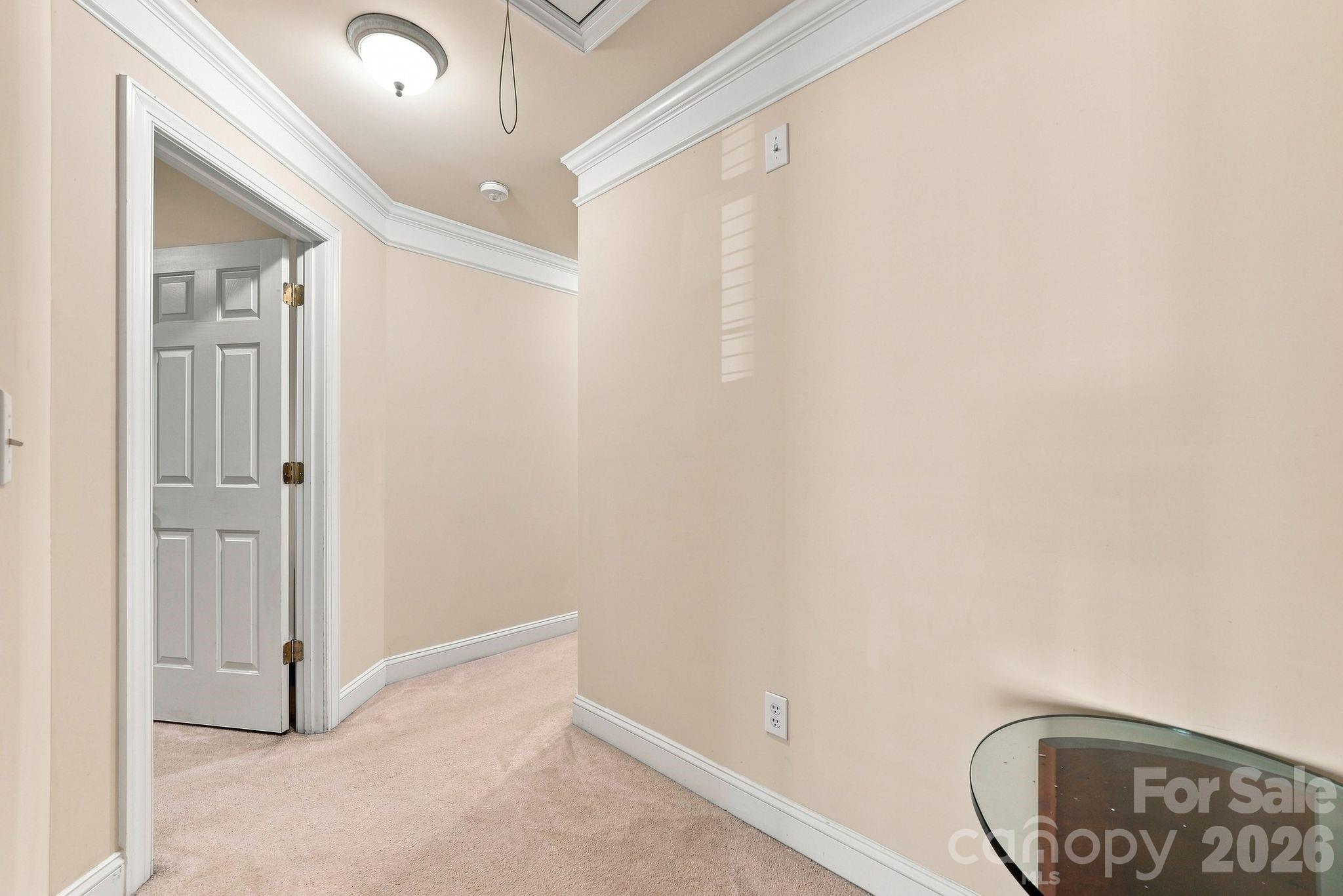 19104 Berkley Commons Drive Property Photo 22