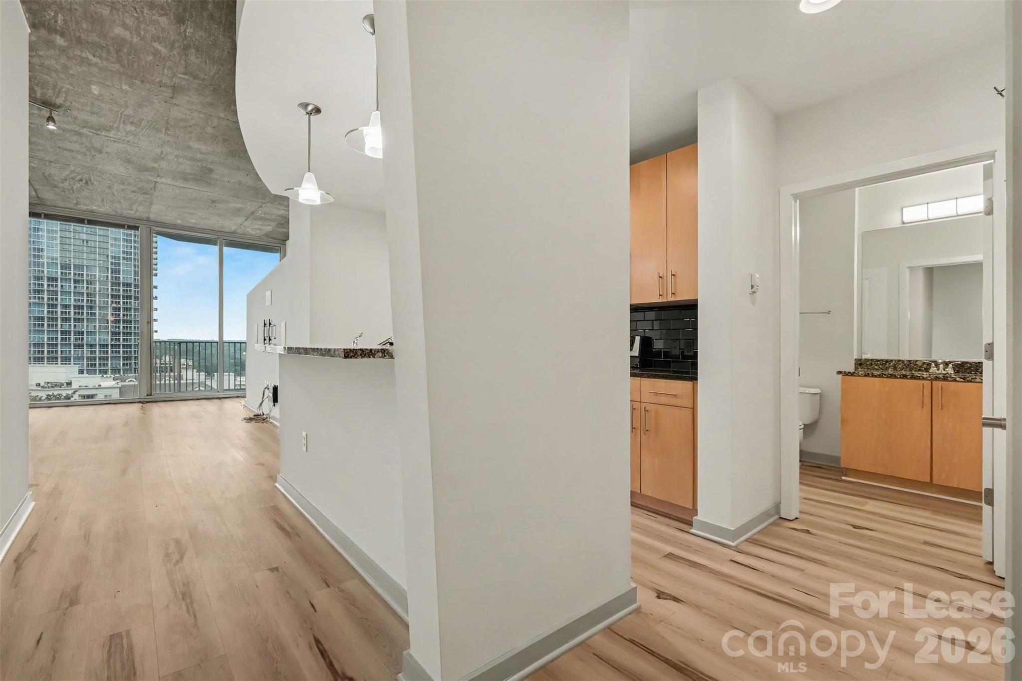 210 N Church Street 1204 Property Photo 5