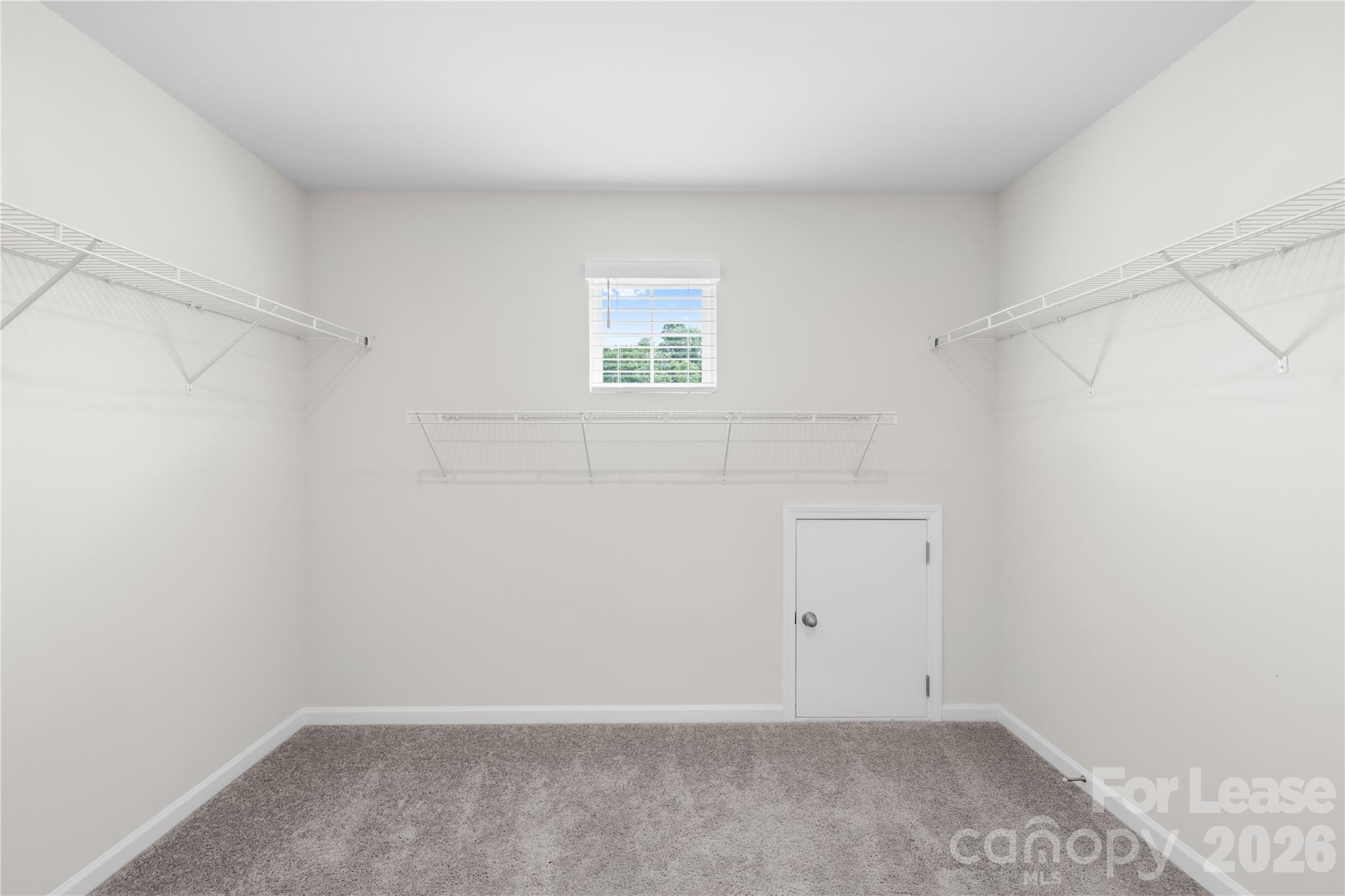 4419993 Property Photo 19