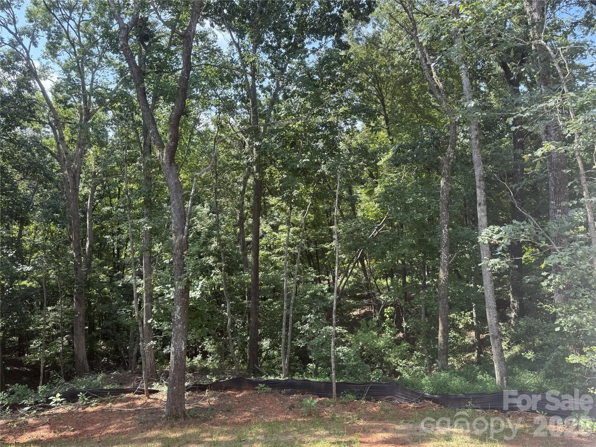 436 Dublin Lane Property Photo 11