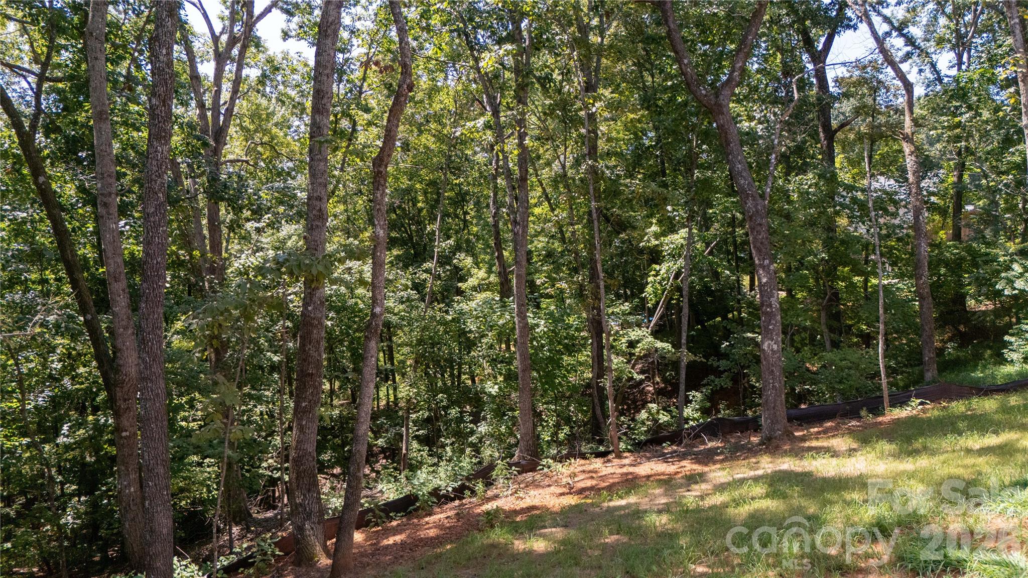 436 Dublin Lane Property Photo 15