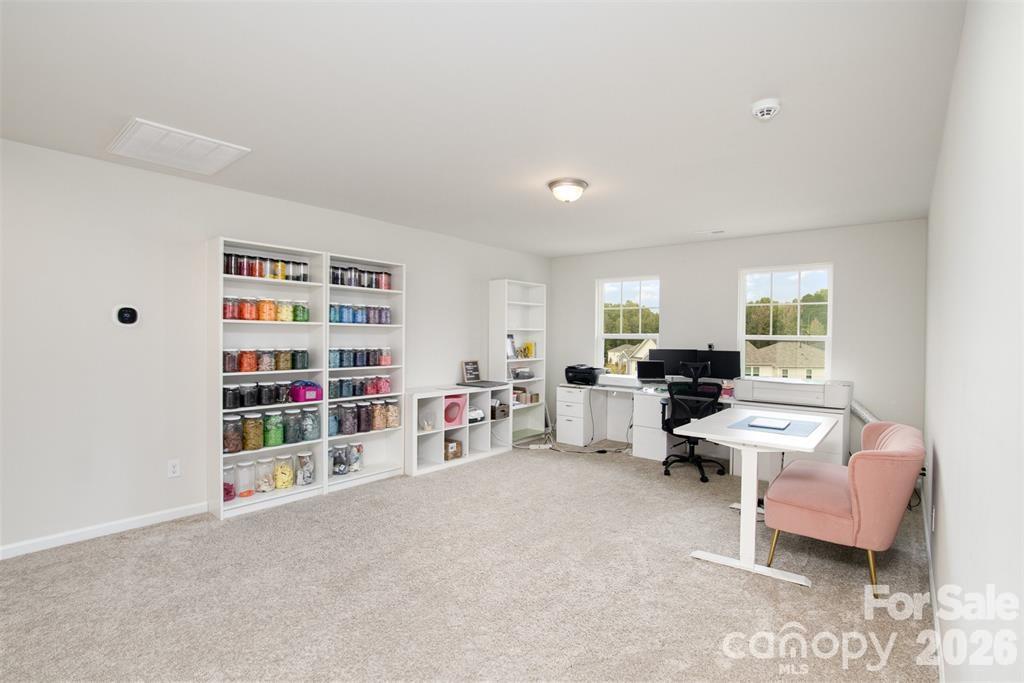4113 Matindale Way Property Photo 20