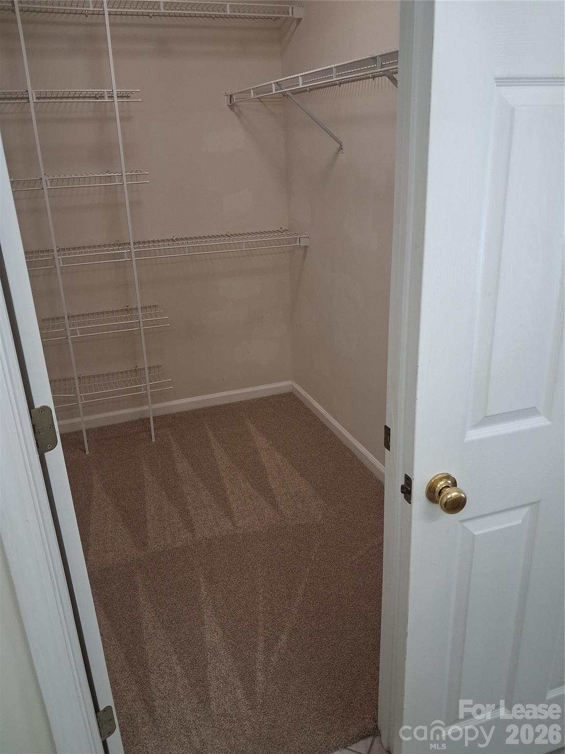 12029 Stone Forest Drive Property Photo 17