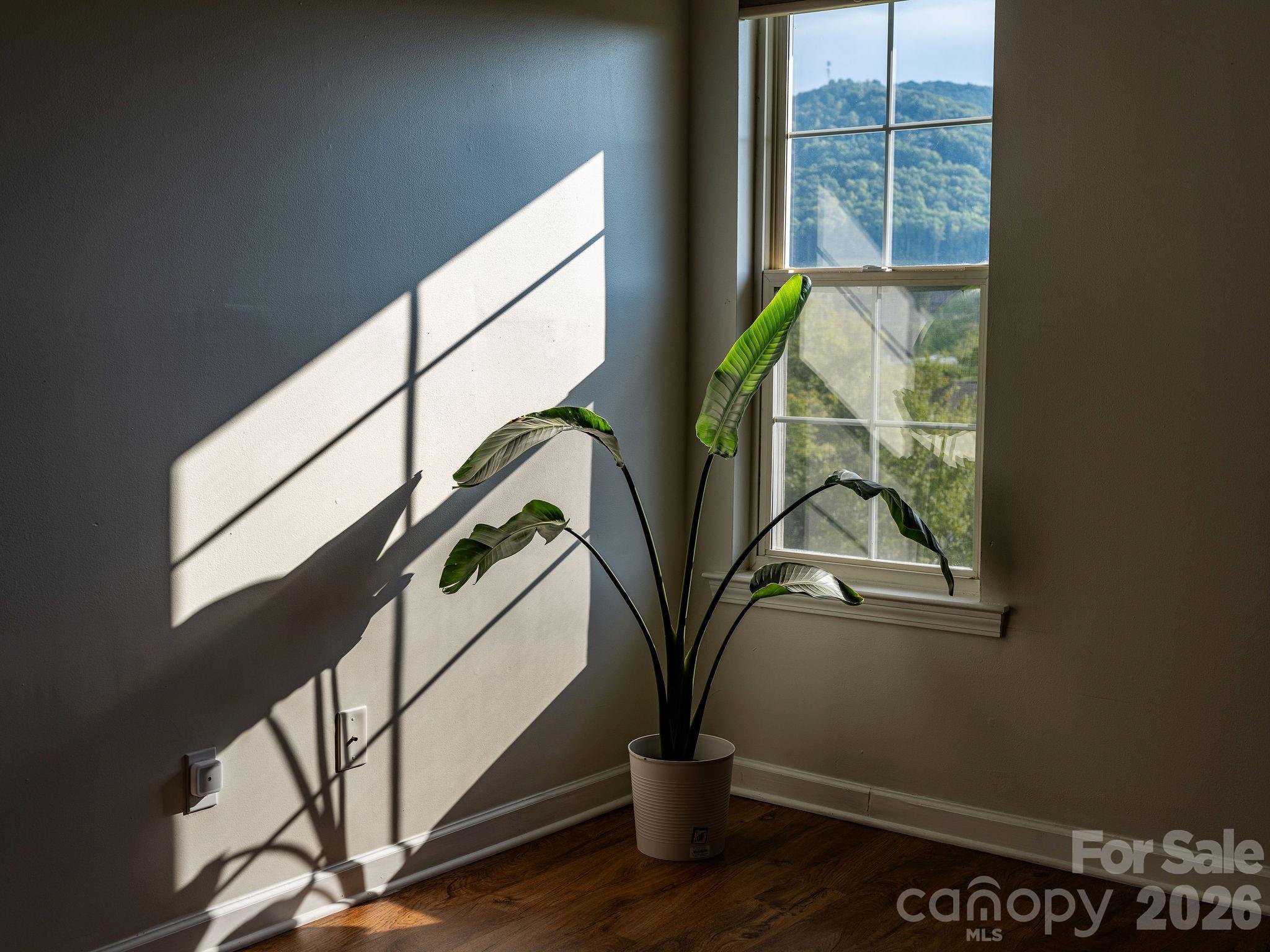4702 Breakers Lane Property Photo 22