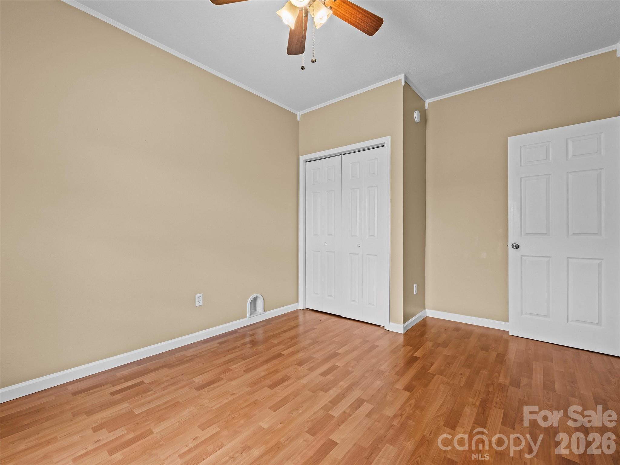 43 Avery Street Property Photo 18
