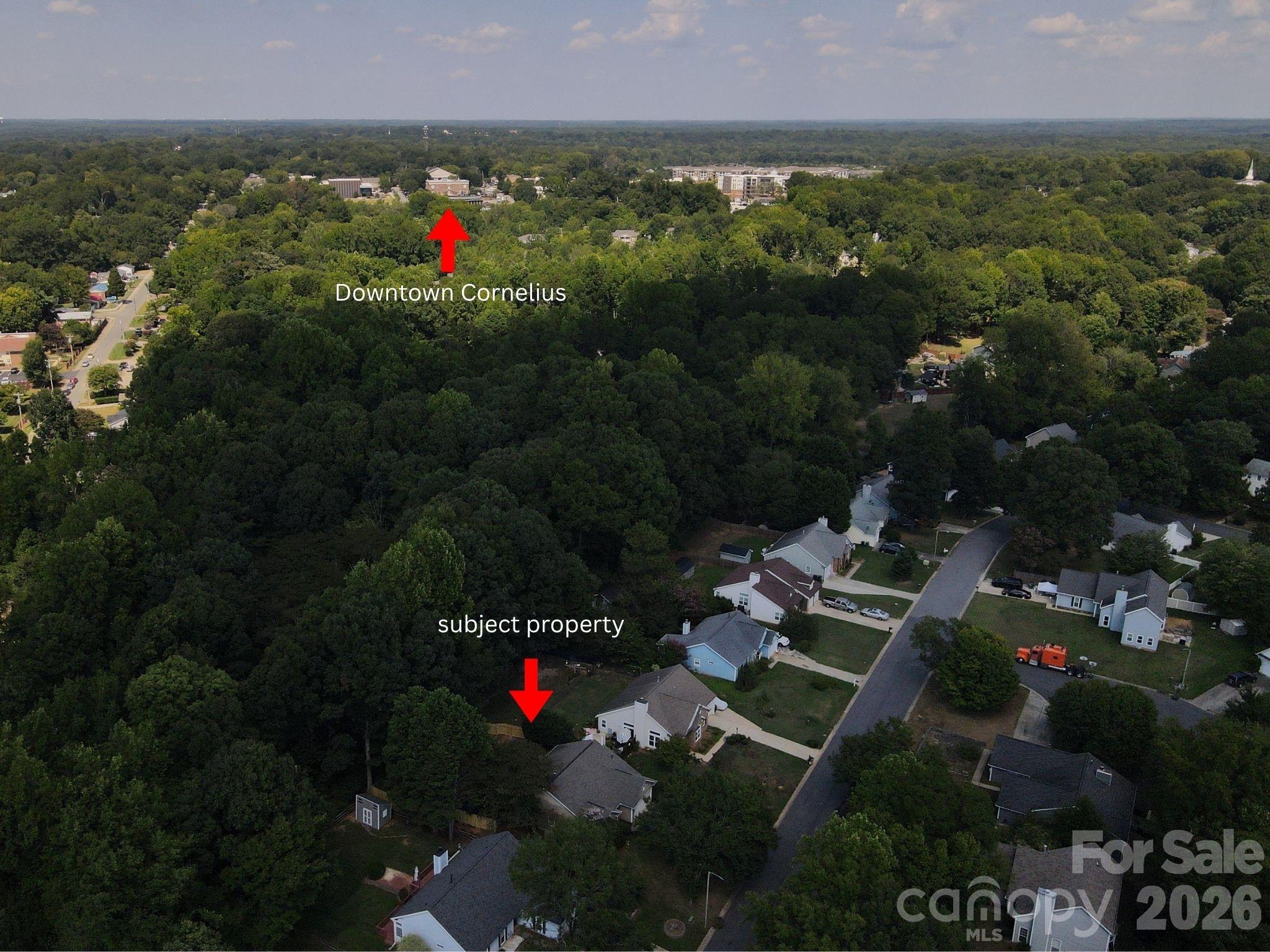 10333 Danesway Lane Property Photo 29