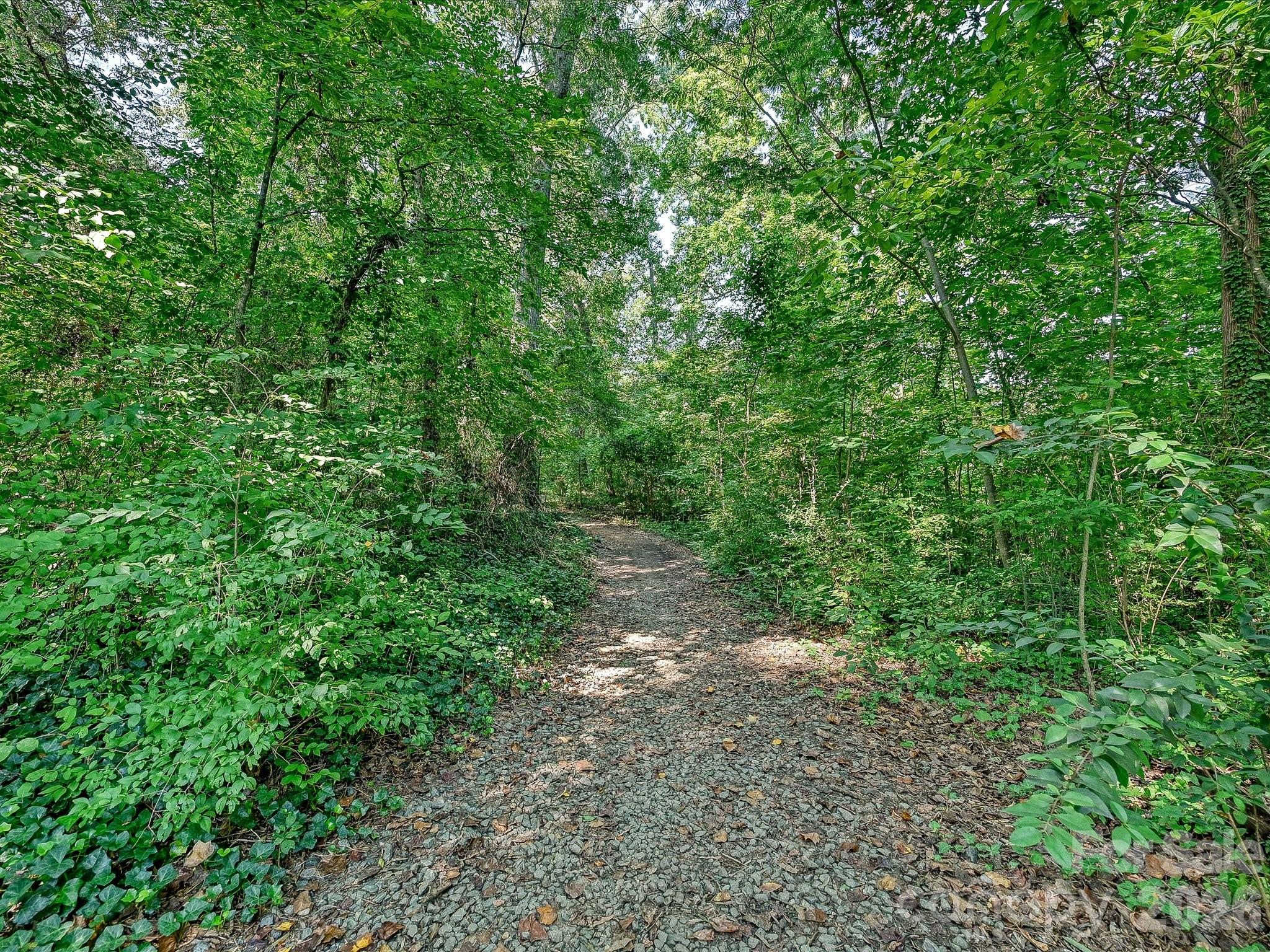 1538 Sterling Road Property Photo 11