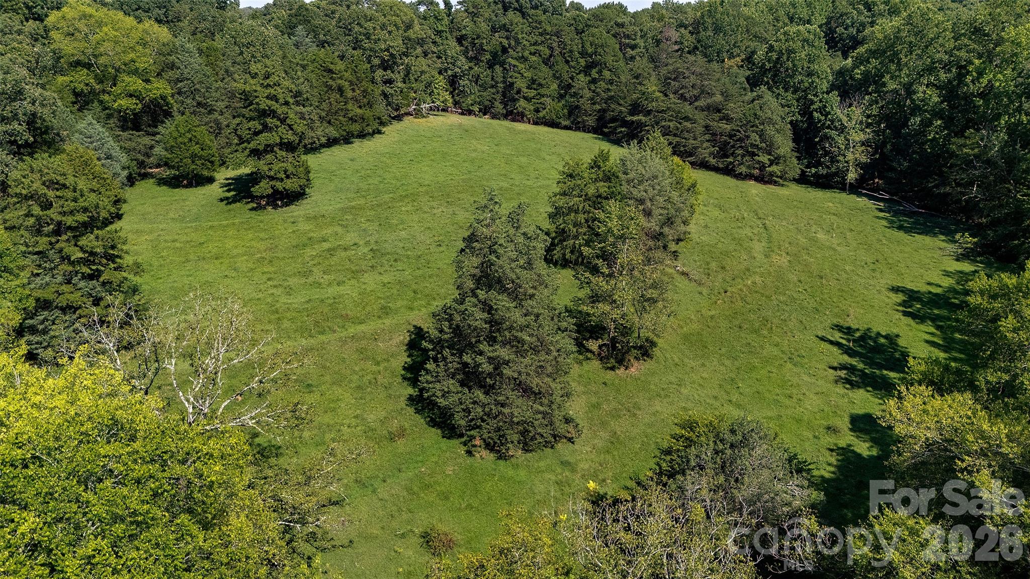 13.5 +/- Acres Mooresville Road Property Photo 2