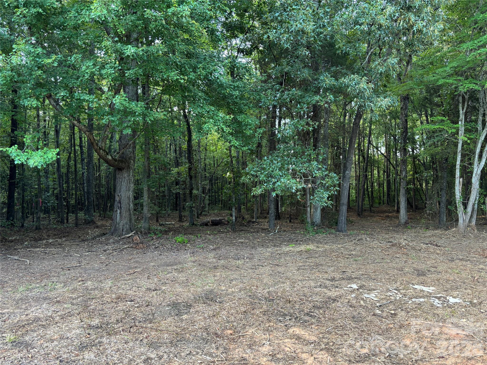 13.5 +/- Acres Mooresville Road Property Photo 4