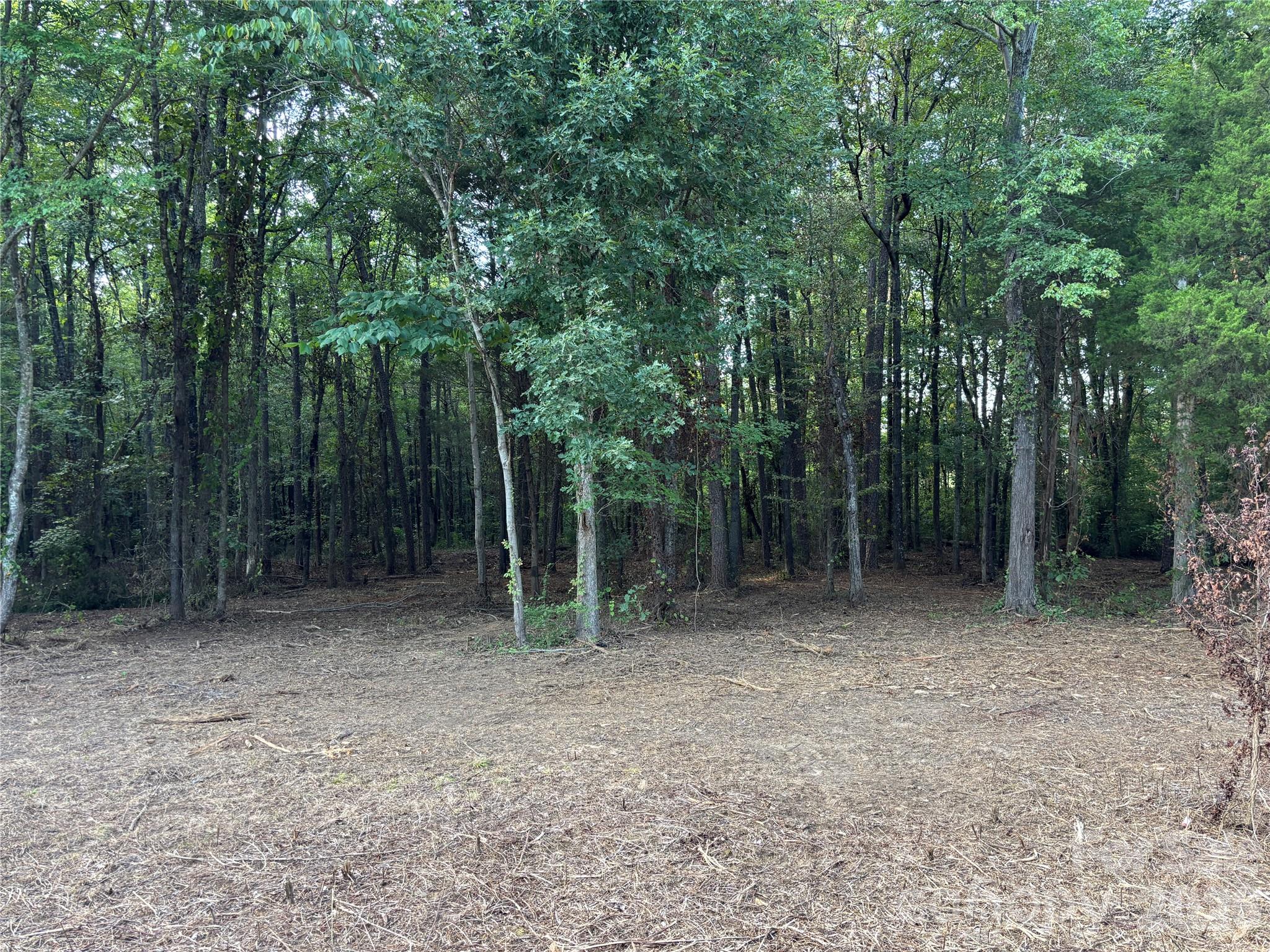 13.5 +/- Acres Mooresville Road Property Photo 5