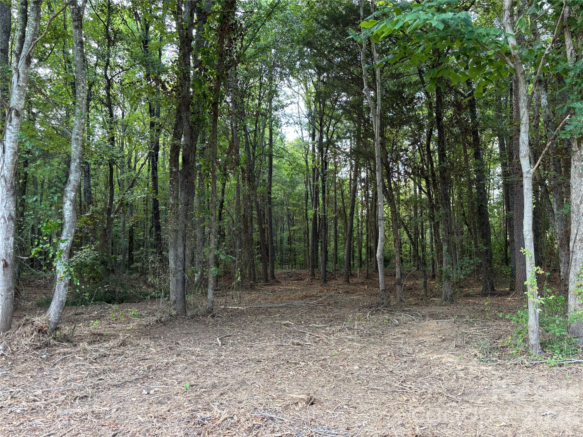 13.5 +/- Acres Mooresville Road Property Photo 6