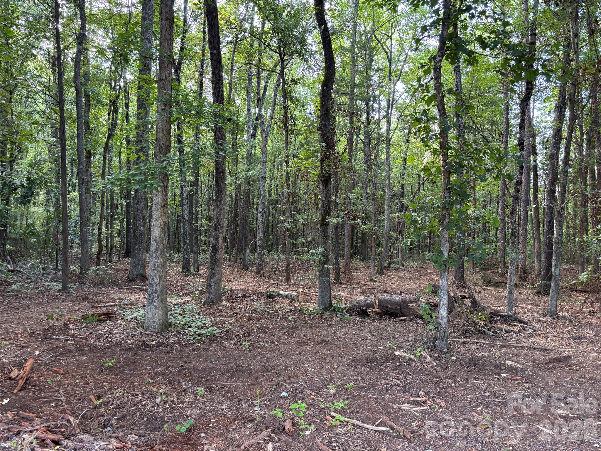 13.5 +/- Acres Mooresville Road Property Photo 7