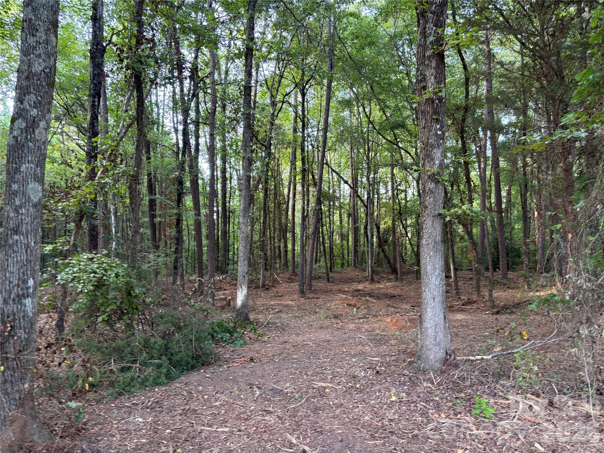 13.5 +/- Acres Mooresville Road Property Photo 8