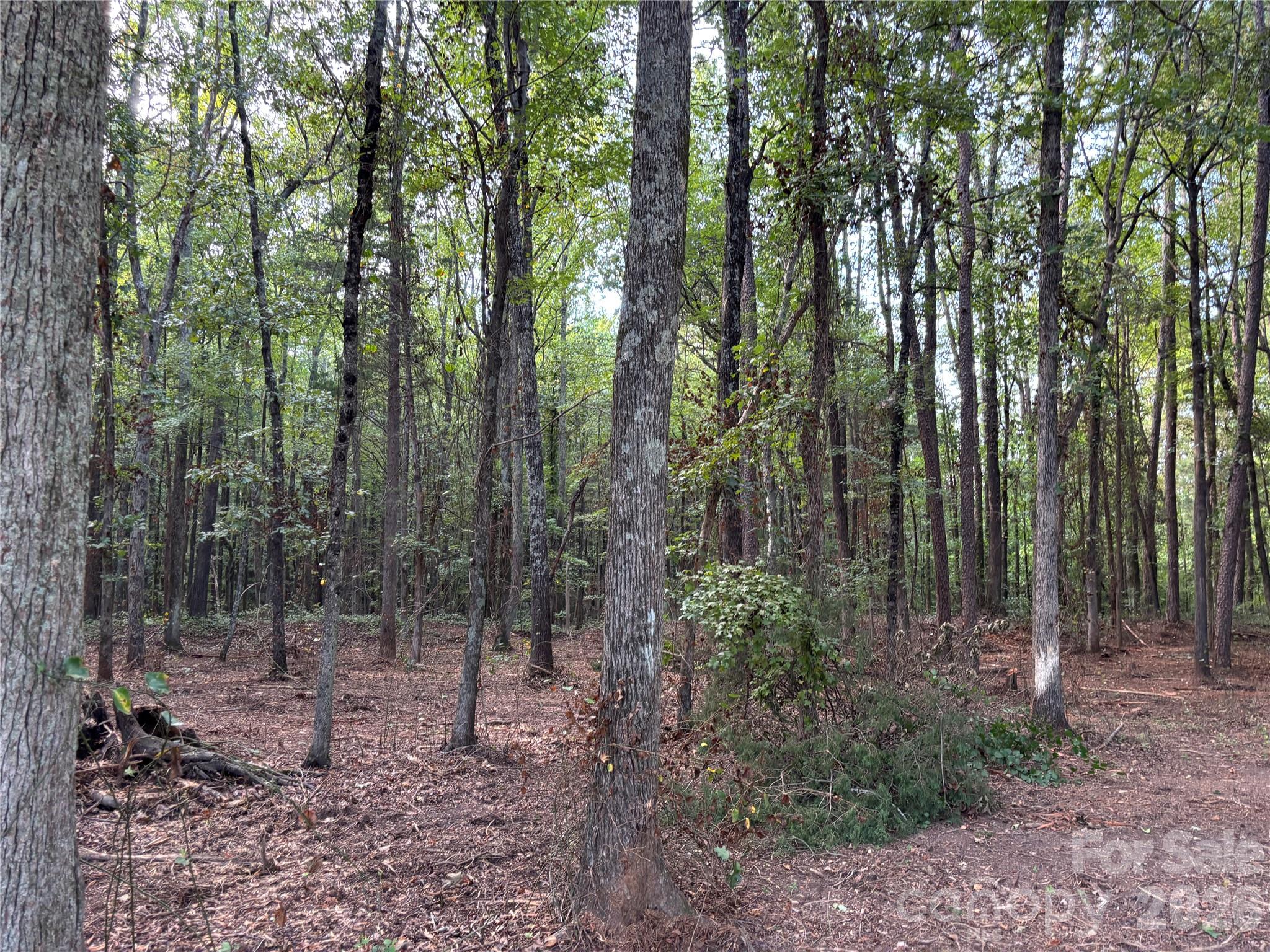 13.5 +/- Acres Mooresville Road Property Photo 9
