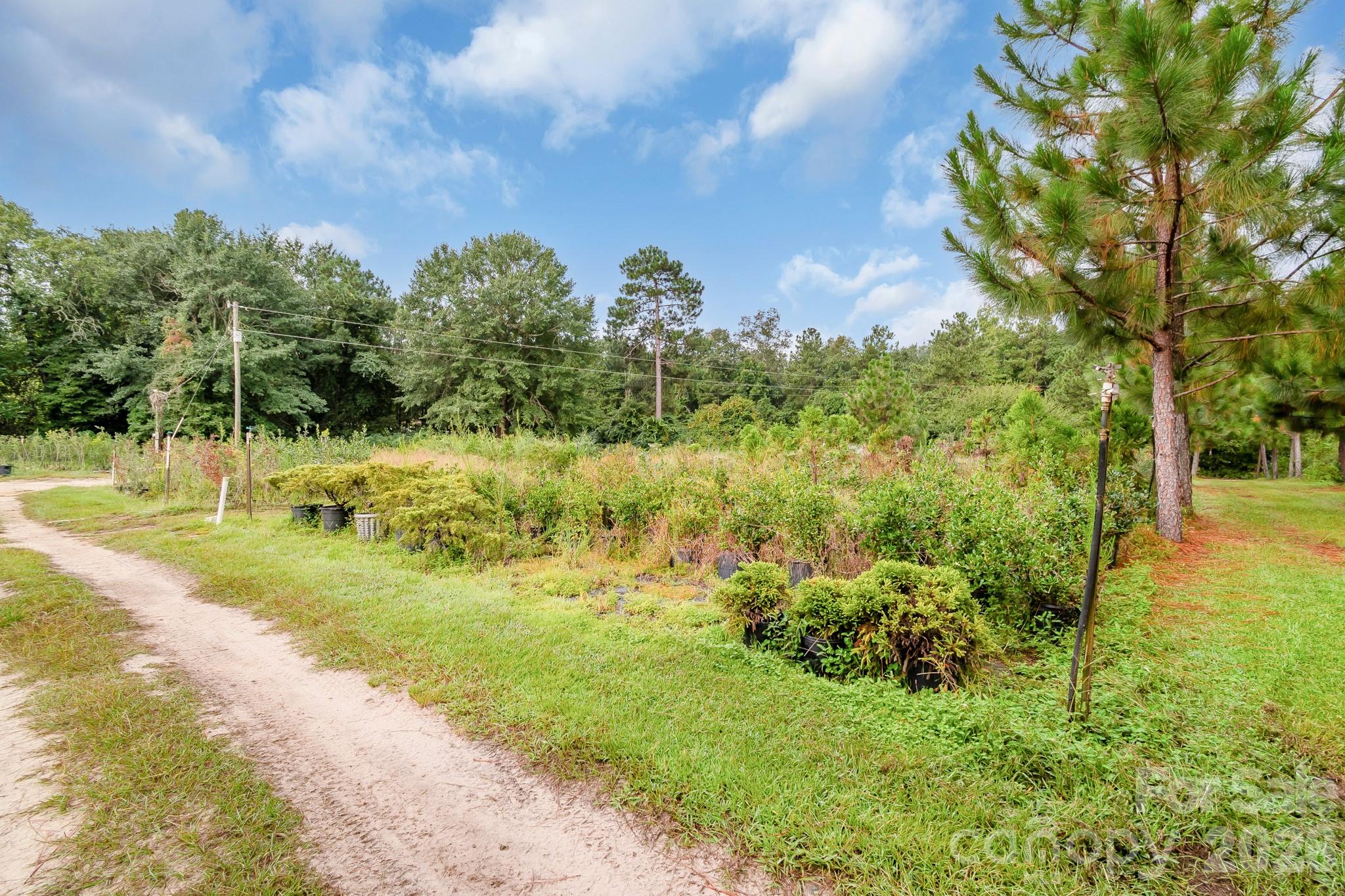 4594 Timrod Road Property Photo 17