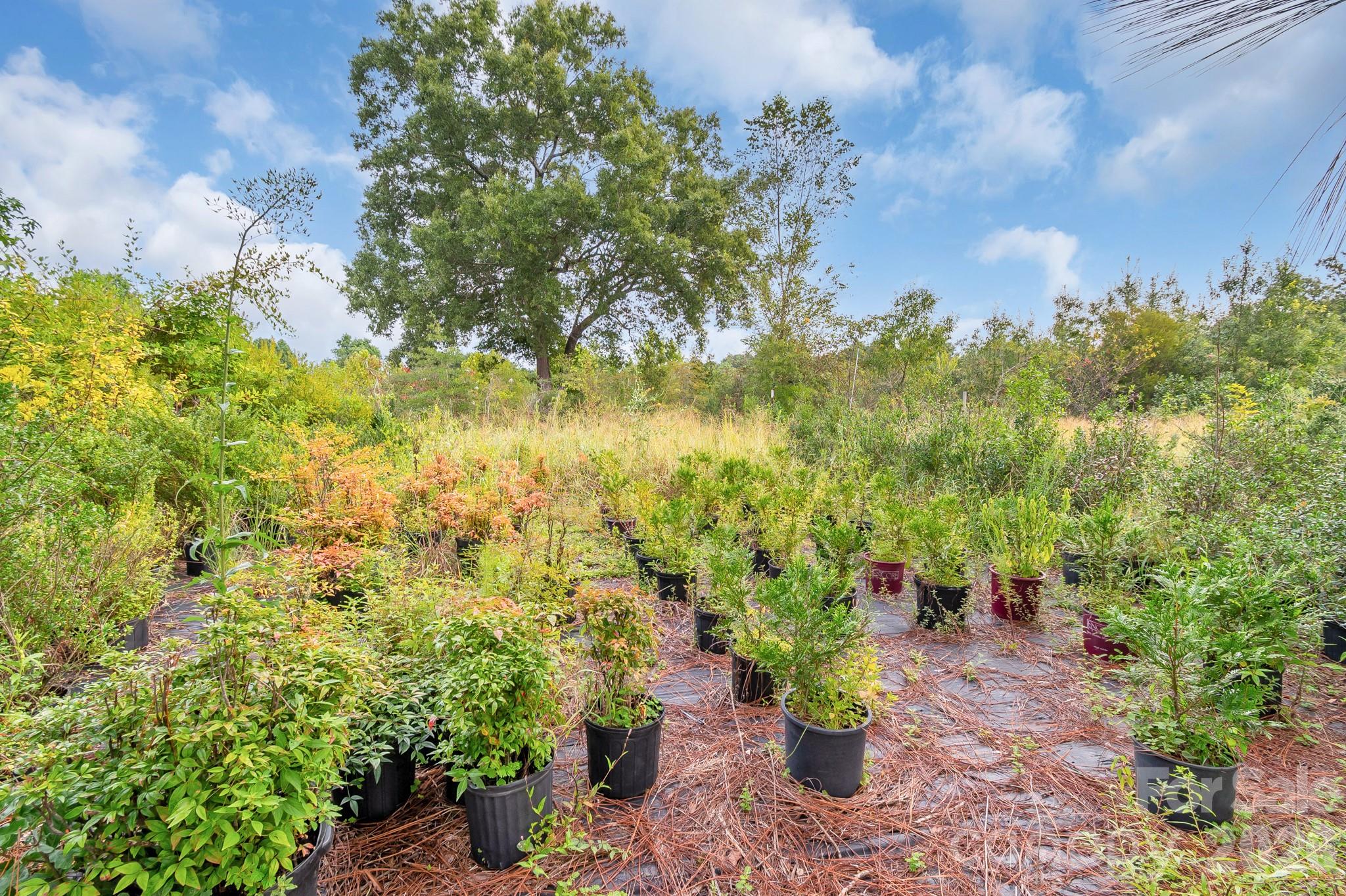 4594 Timrod Road Property Photo 19