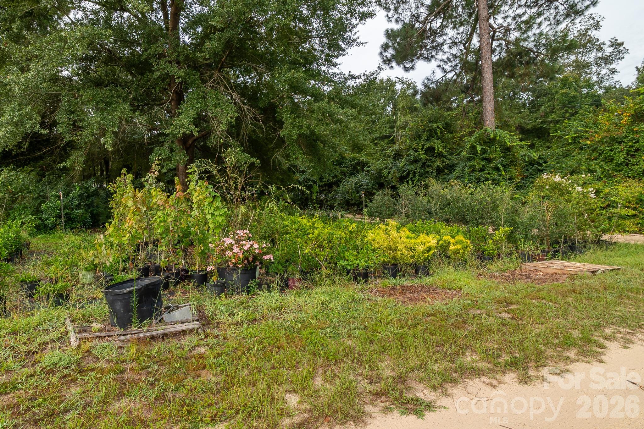 4594 Timrod Road Property Photo 22
