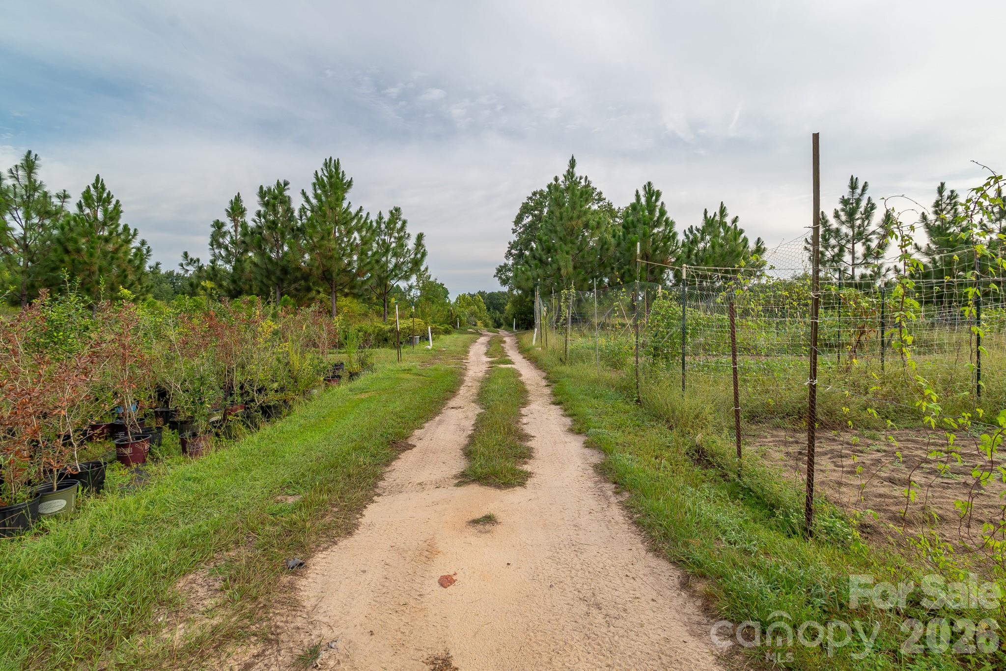 4594 Timrod Road Property Photo 23