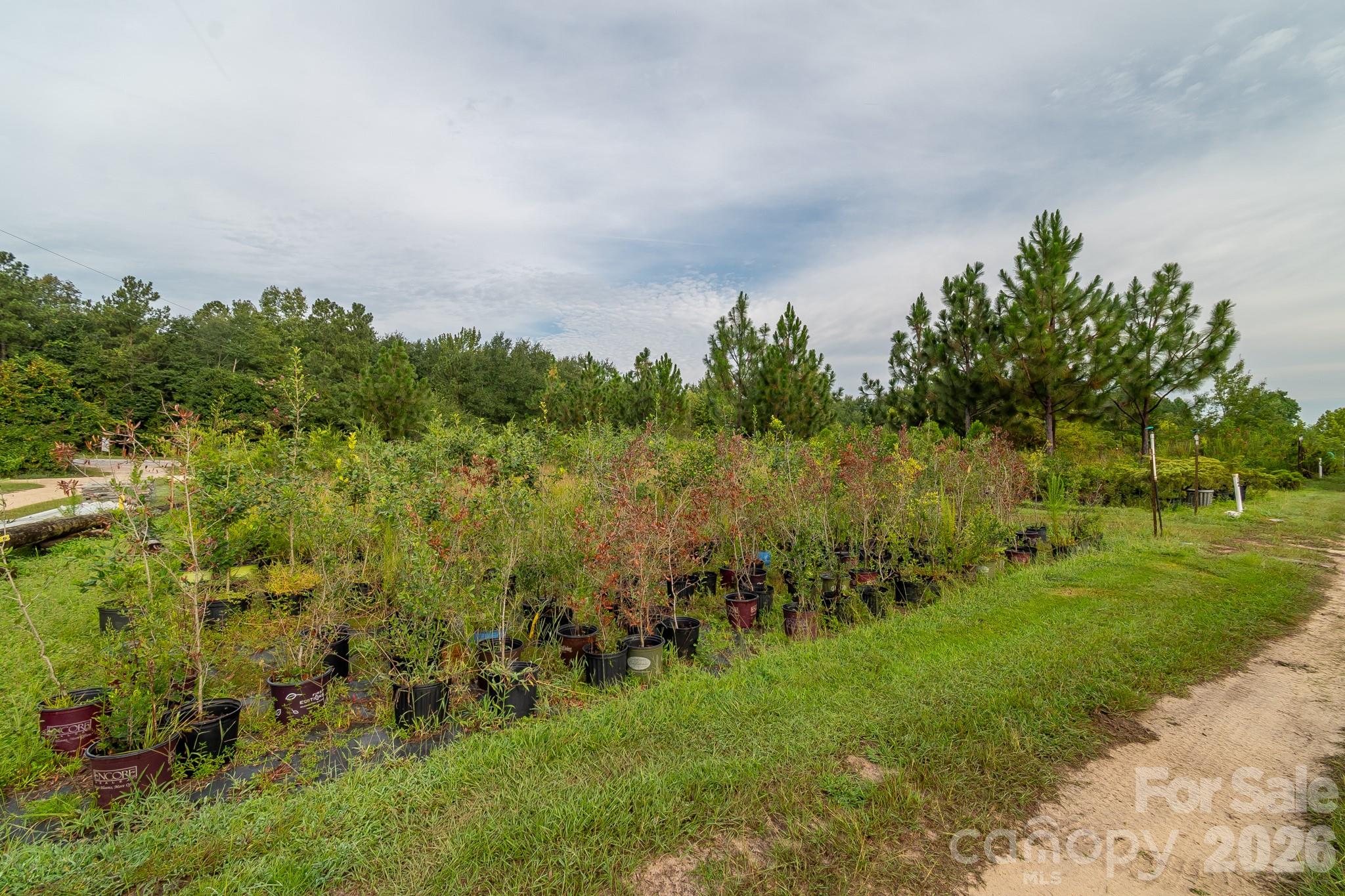 4594 Timrod Road Property Photo 24