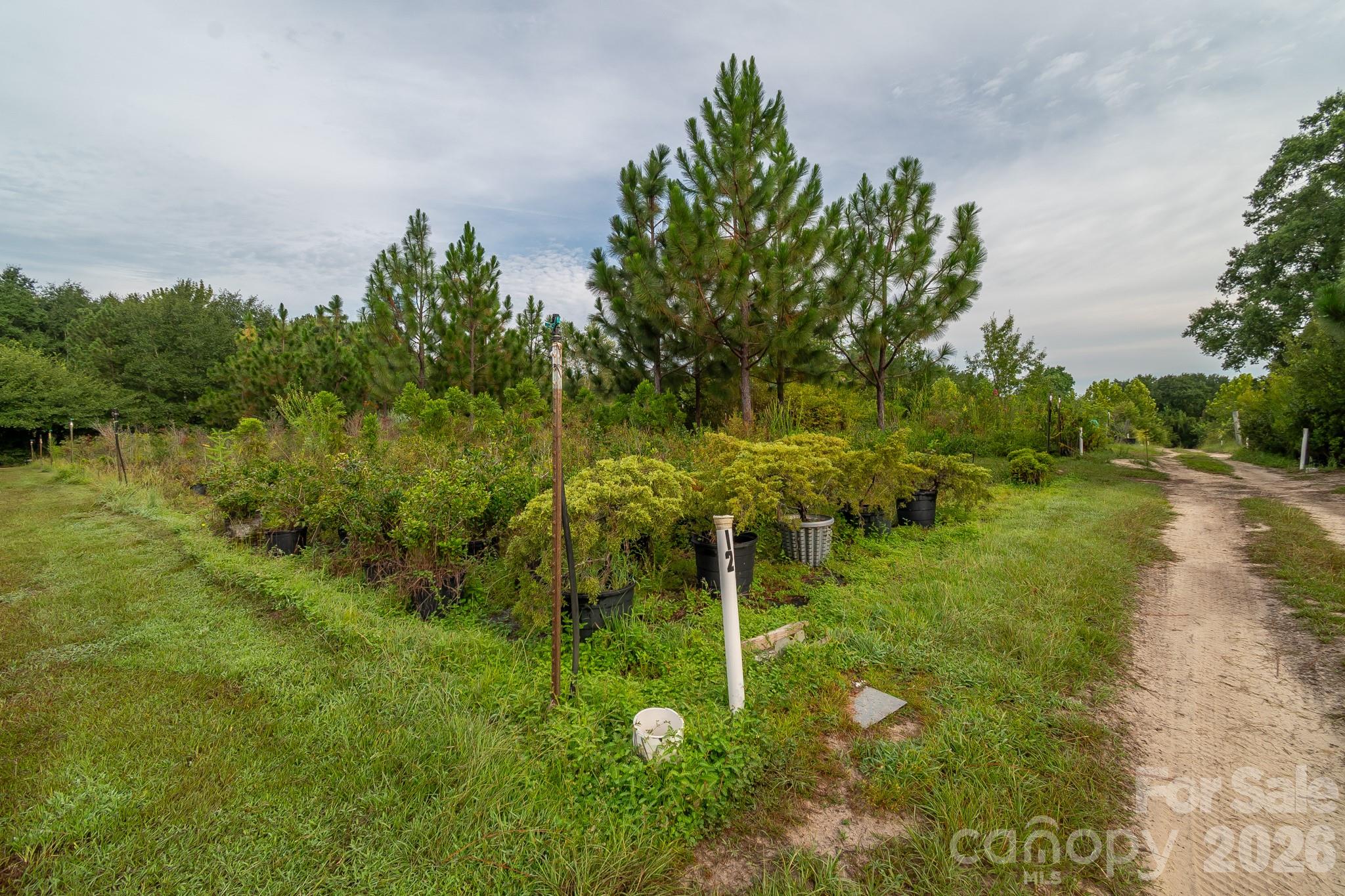 4594 Timrod Road Property Photo 25