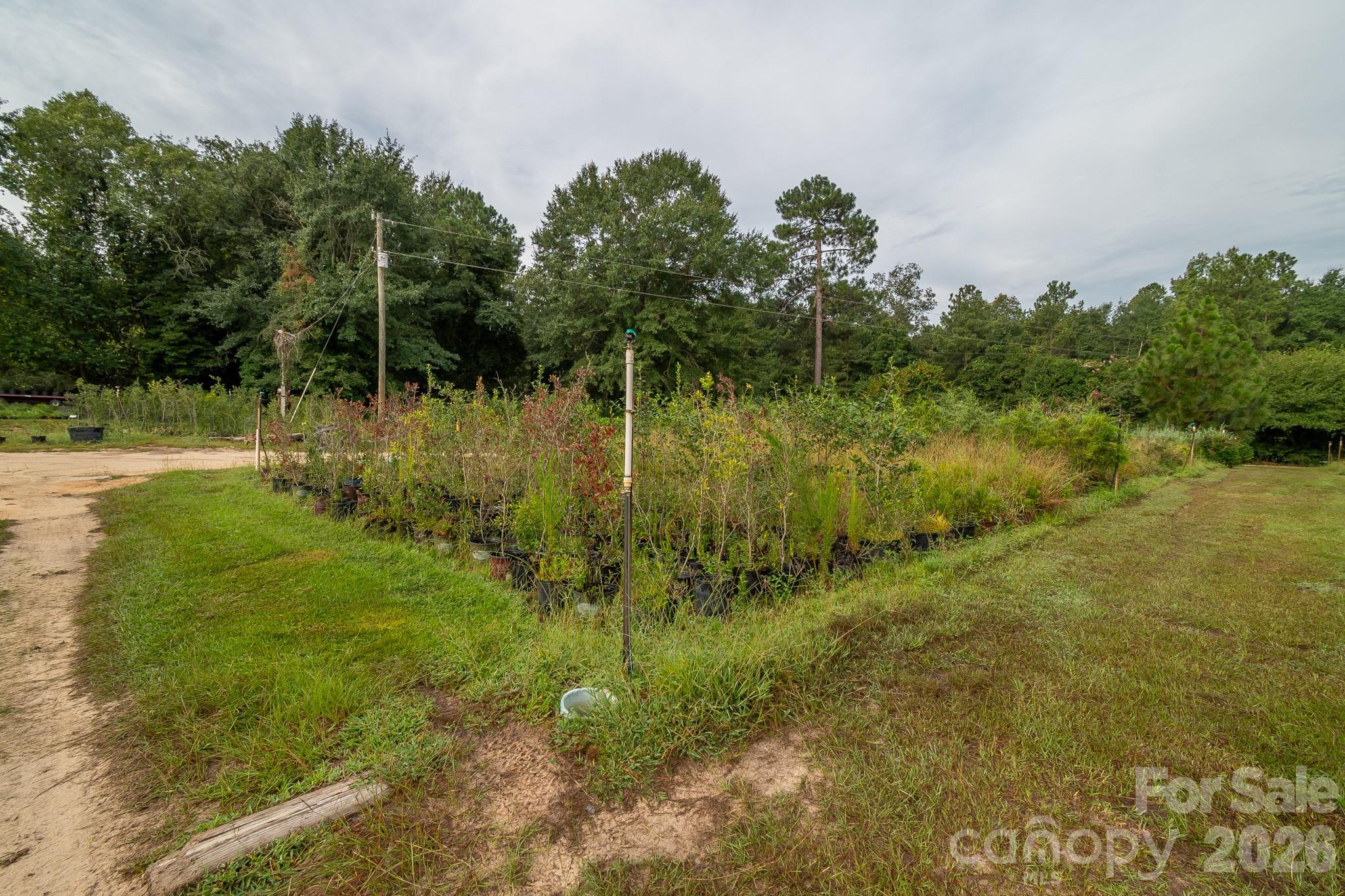 4594 Timrod Road Property Photo 26