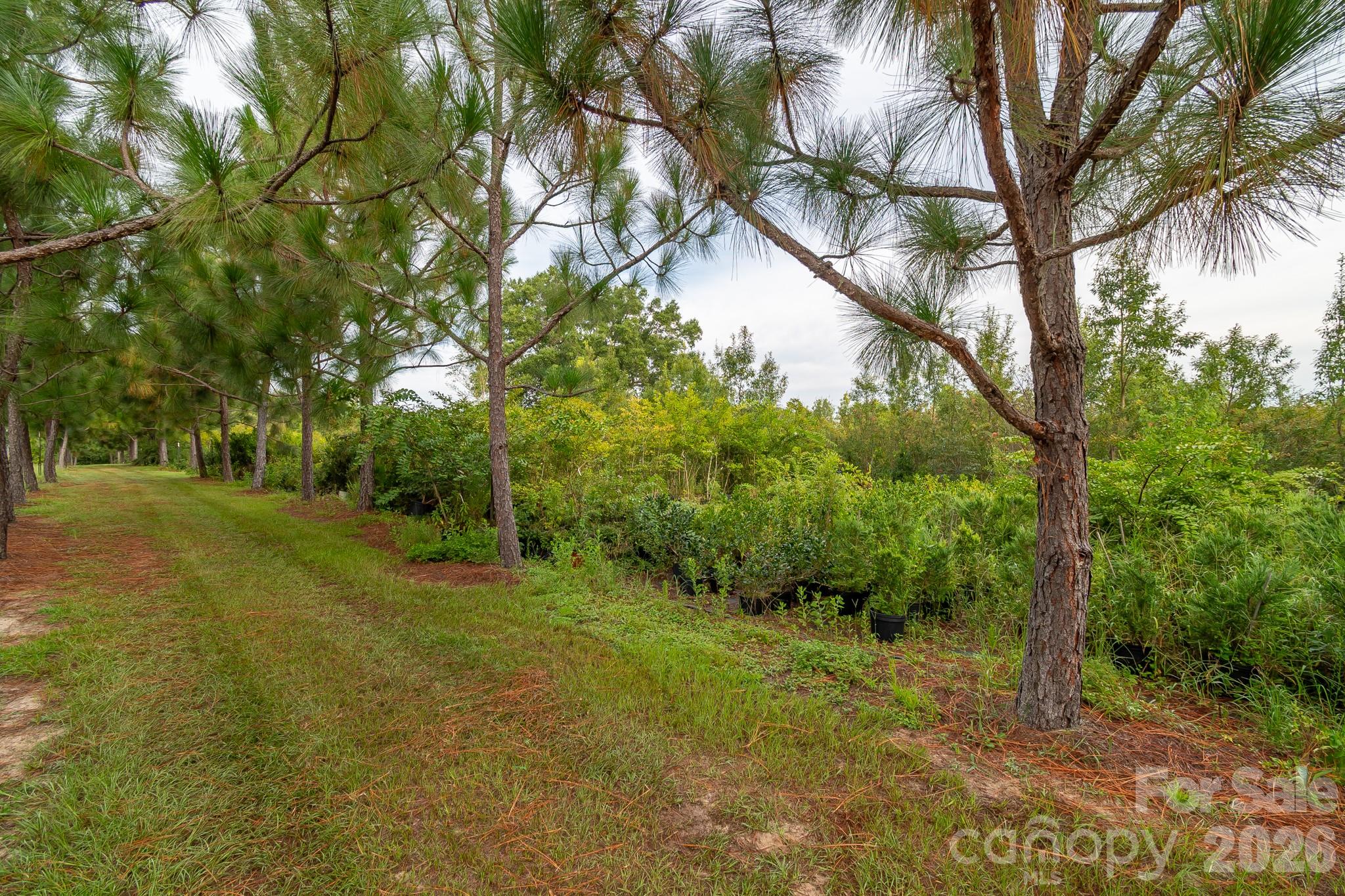 4594 Timrod Road Property Photo 27