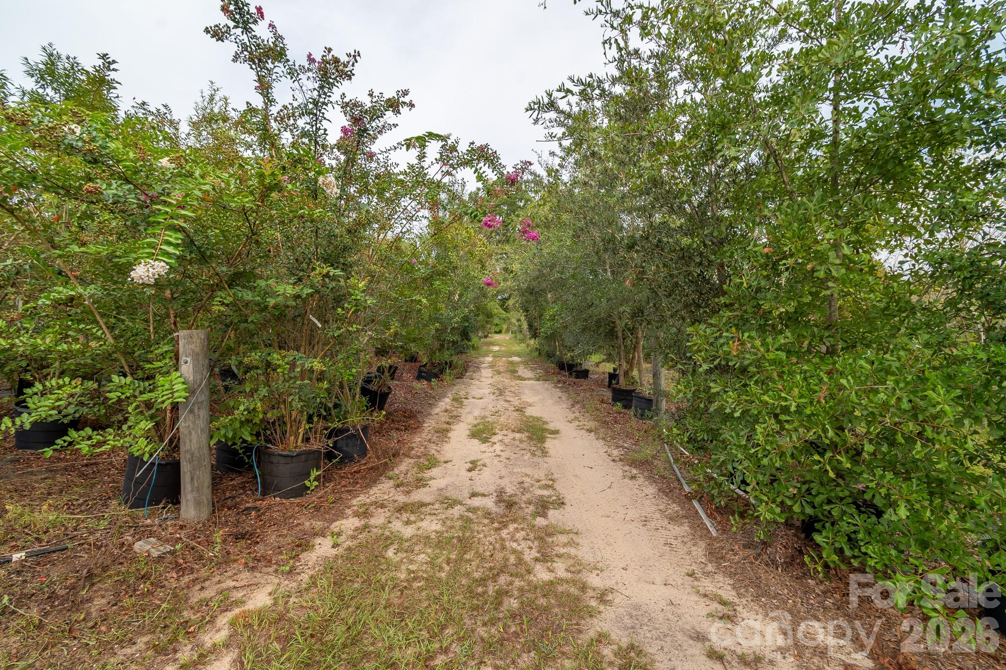 4594 Timrod Road Property Photo 30