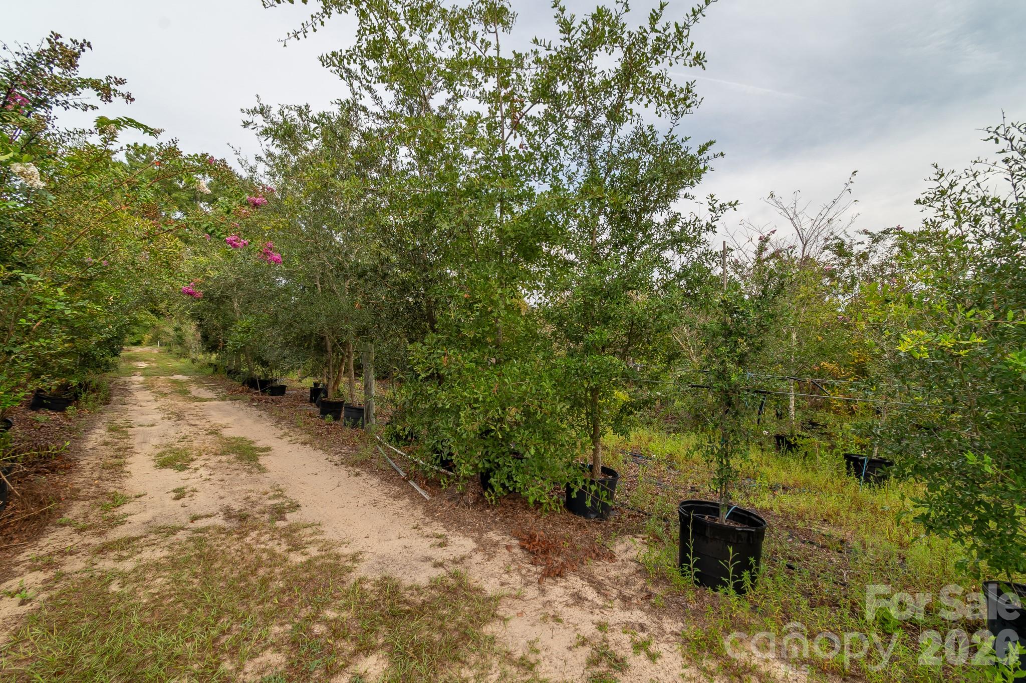 4594 Timrod Road Property Photo 31
