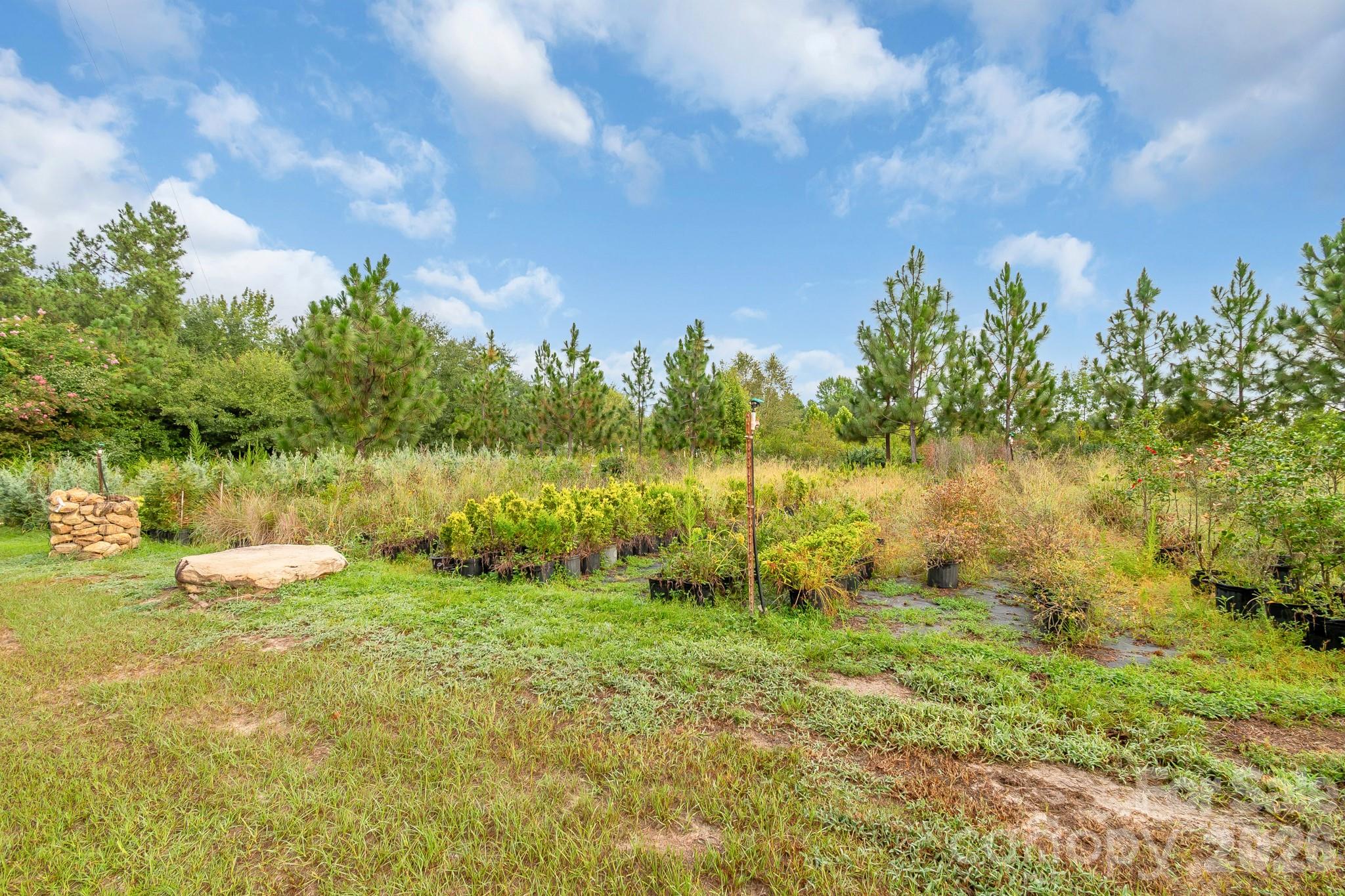 4594 Timrod Road Property Photo 36
