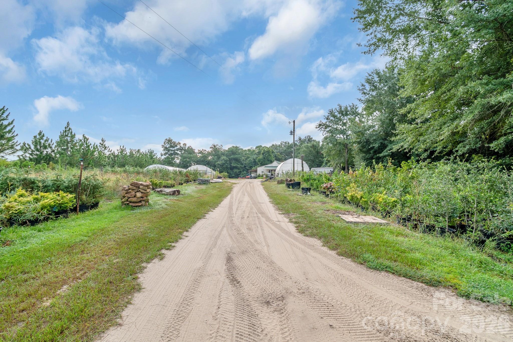 4594 Timrod Road Property Photo 37