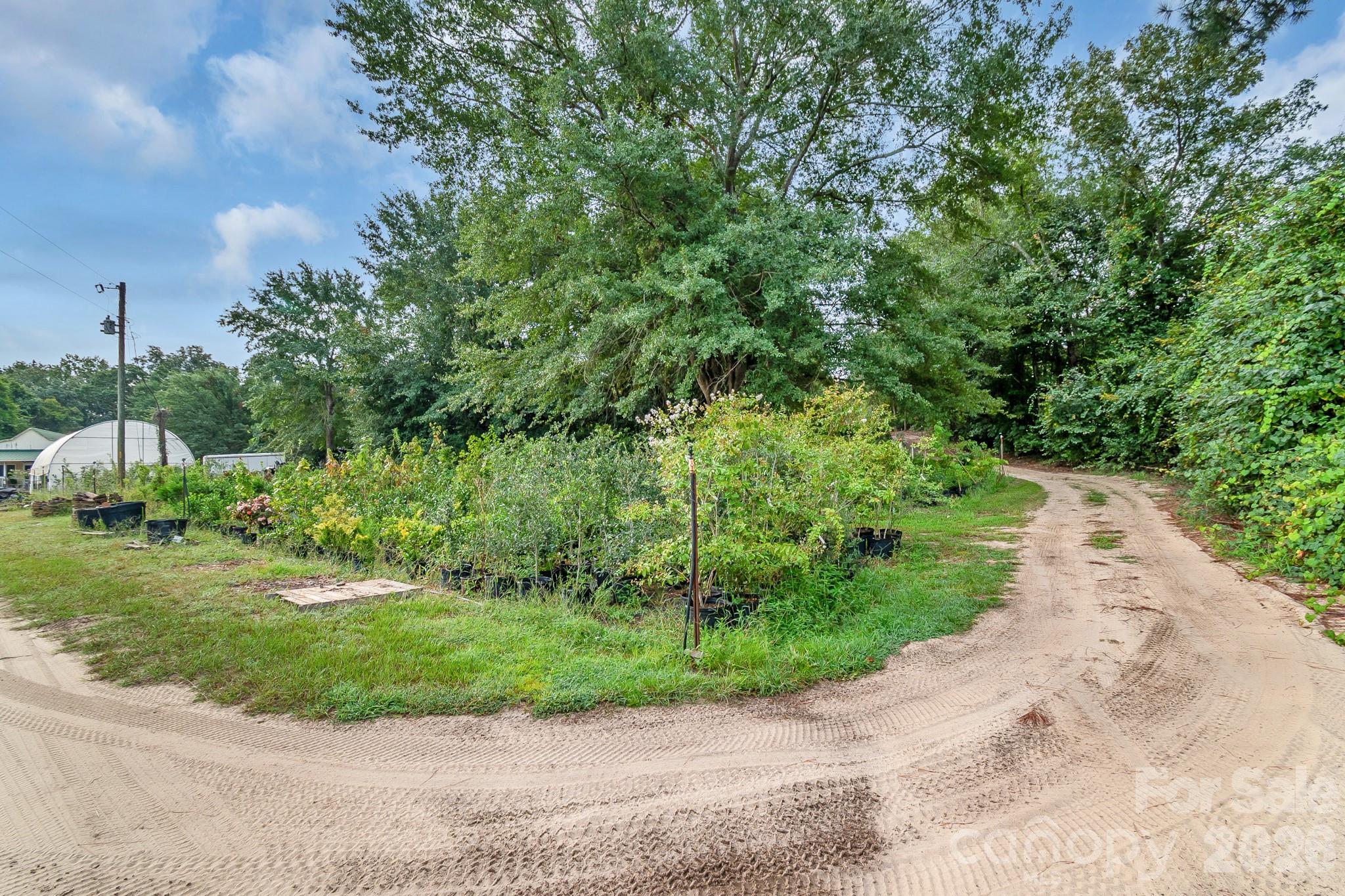 4594 Timrod Road Property Photo 38