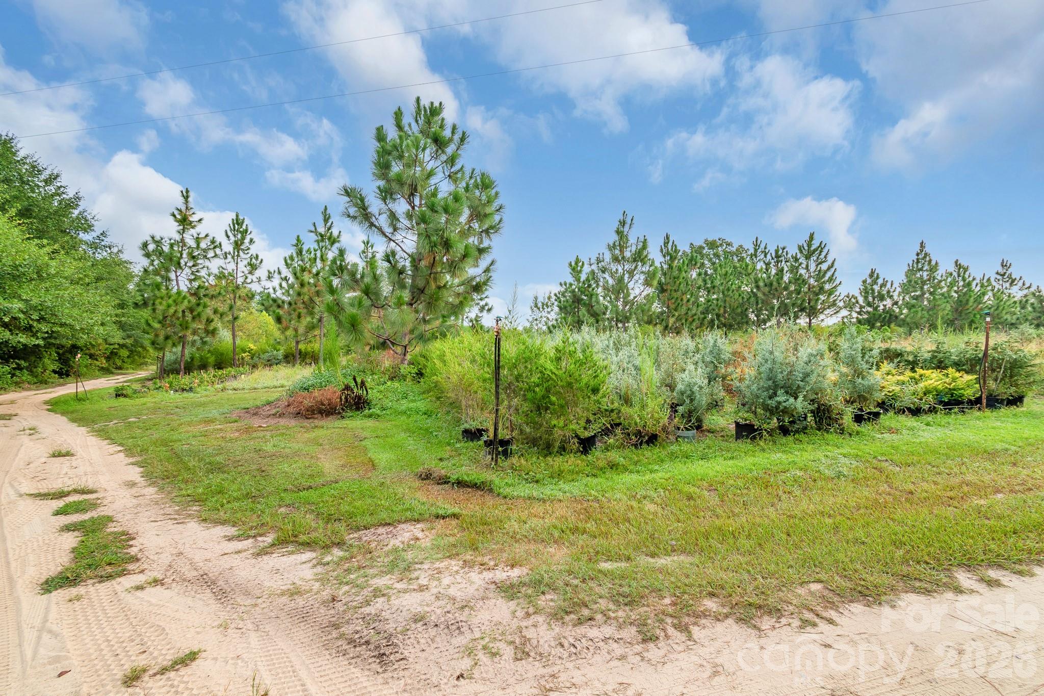 4594 Timrod Road Property Photo 39