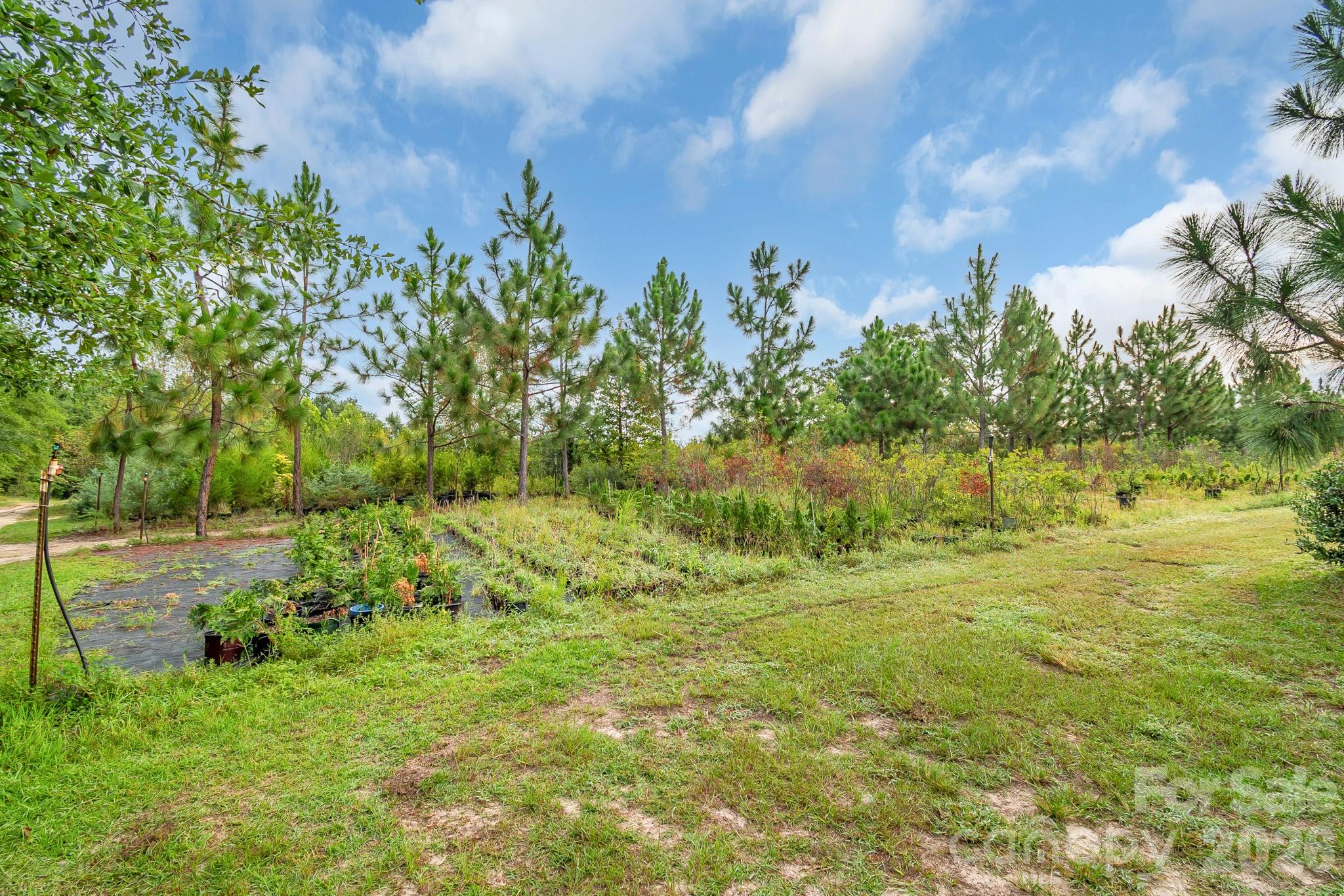 4594 Timrod Road Property Photo 41