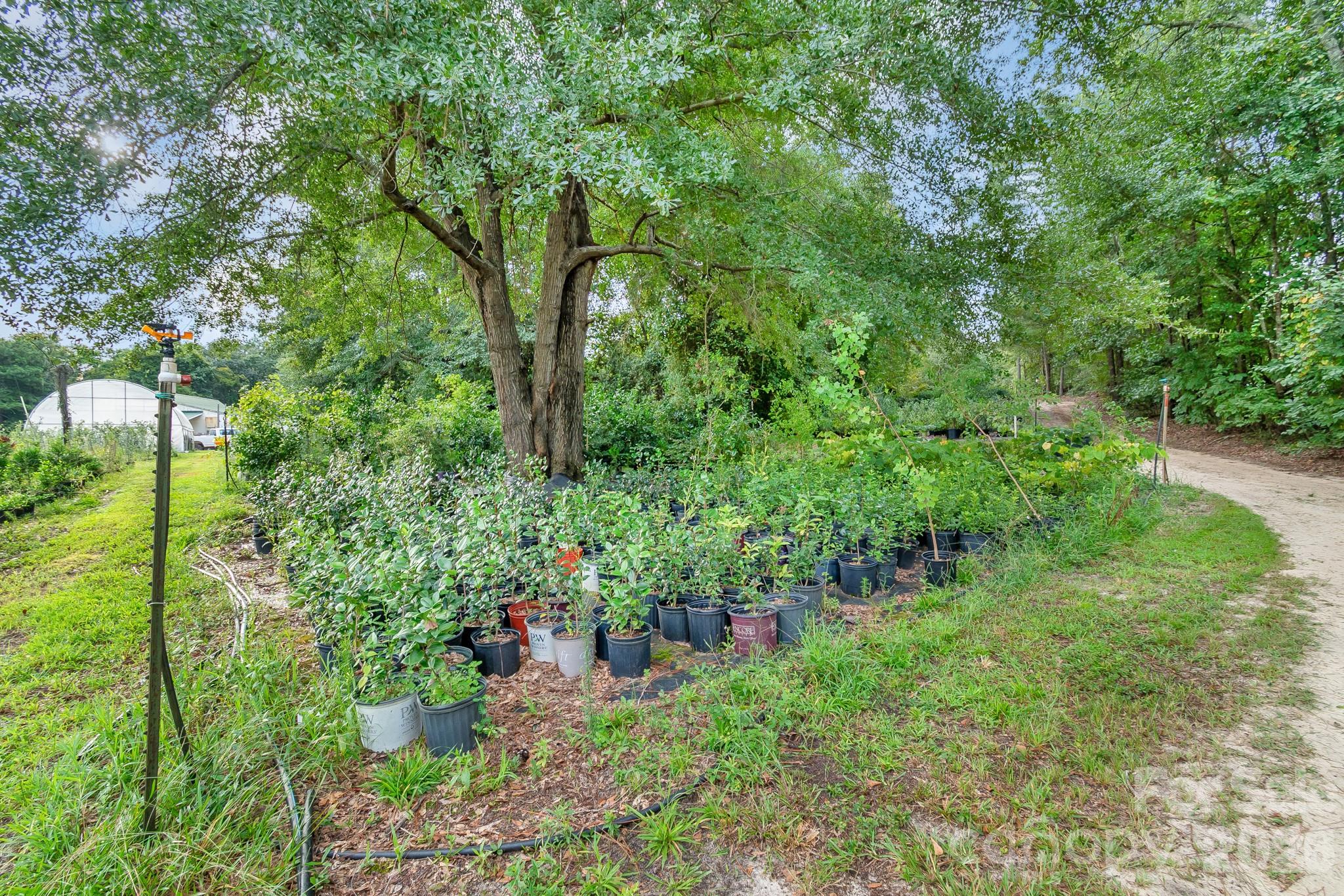4594 Timrod Road Property Photo 42