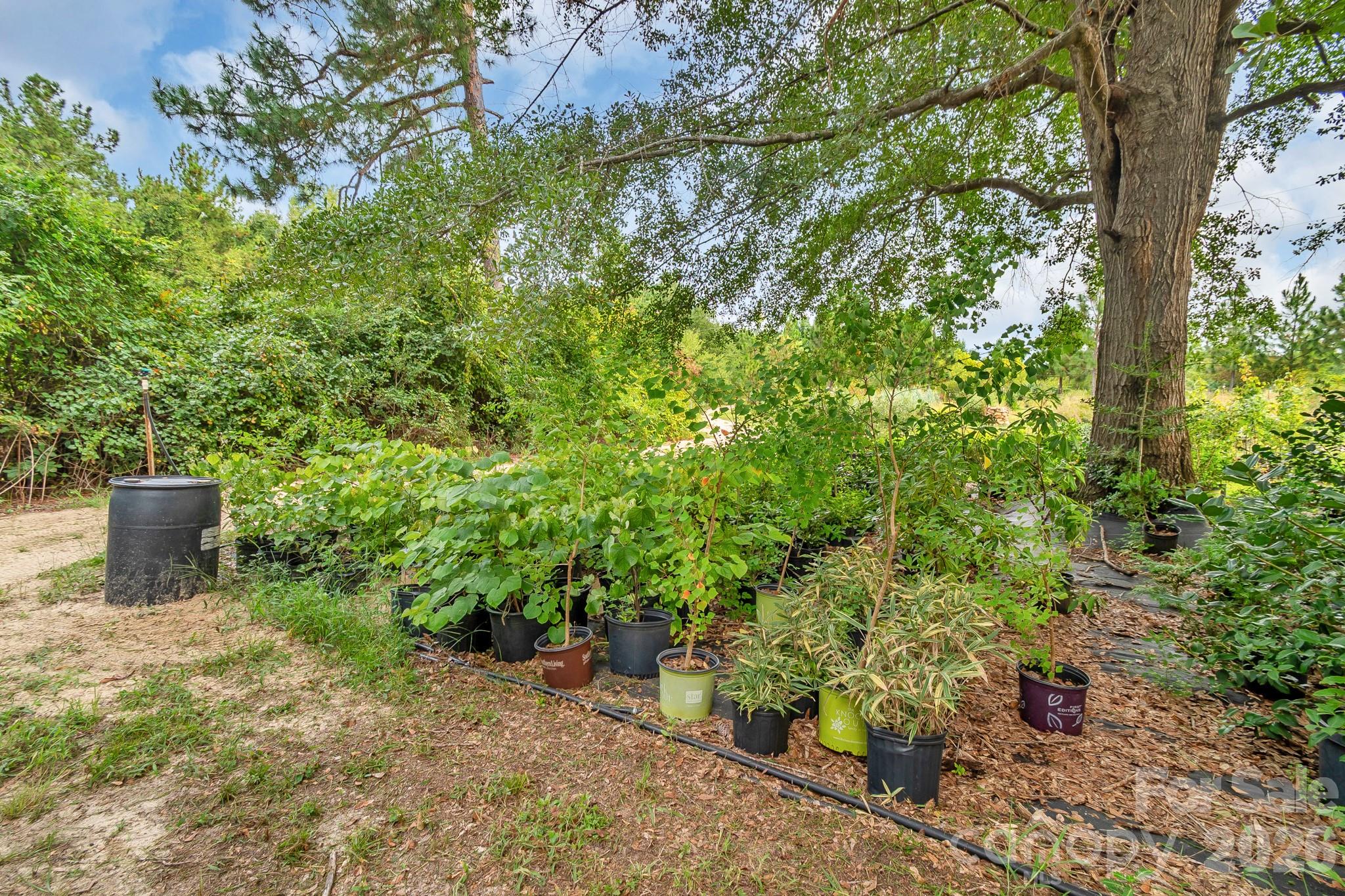 4594 Timrod Road Property Photo 43