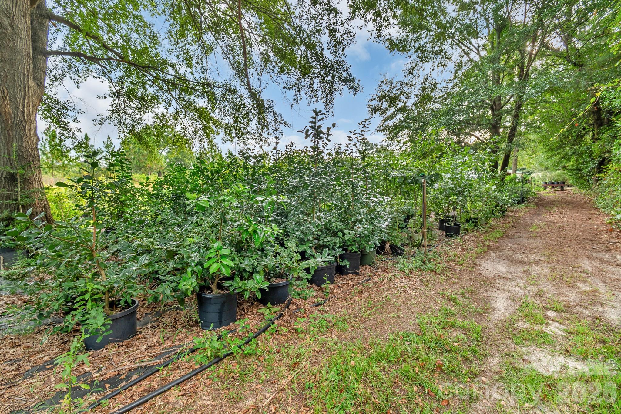 4594 Timrod Road Property Photo 44