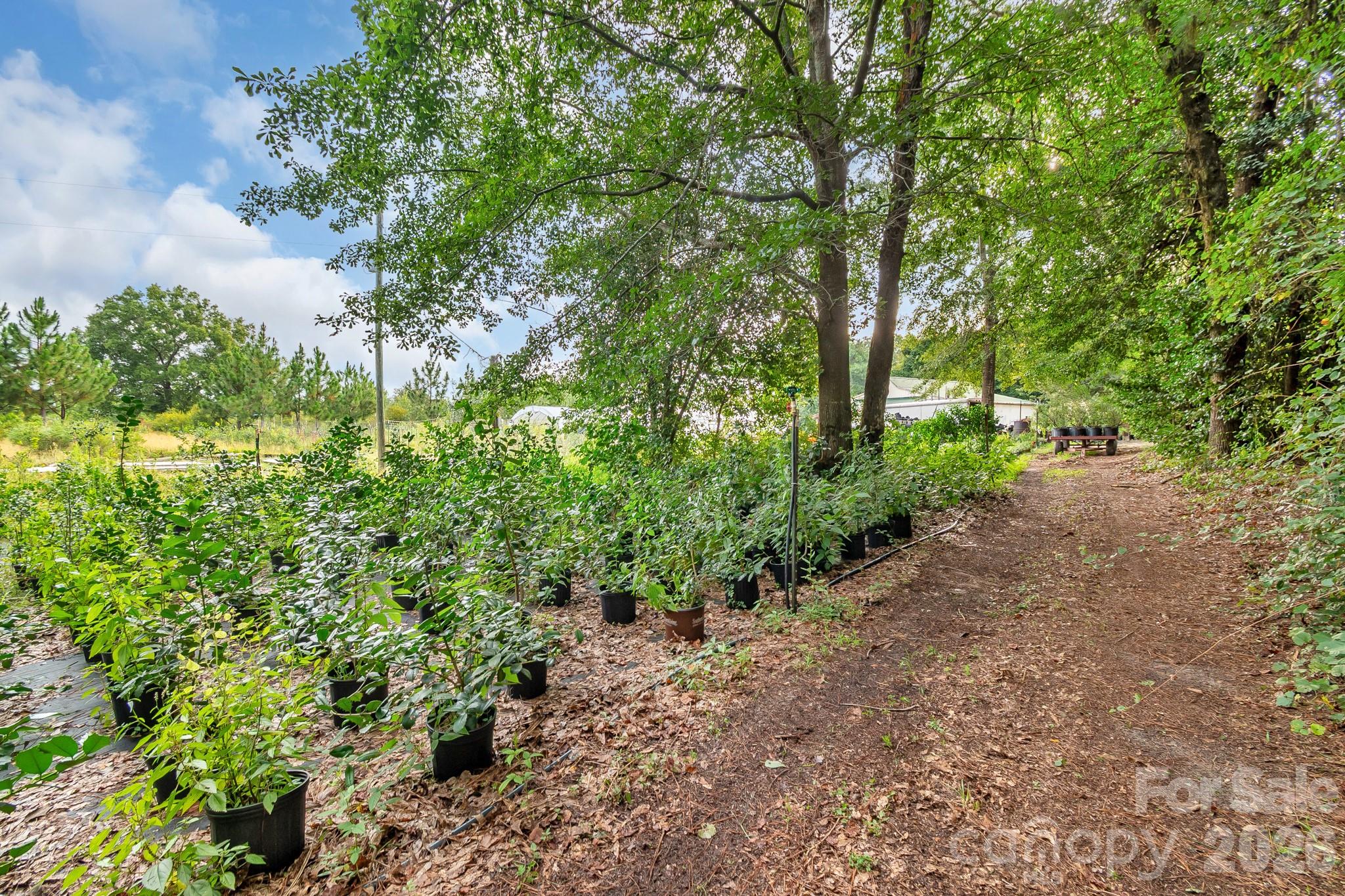 4594 Timrod Road Property Photo 45