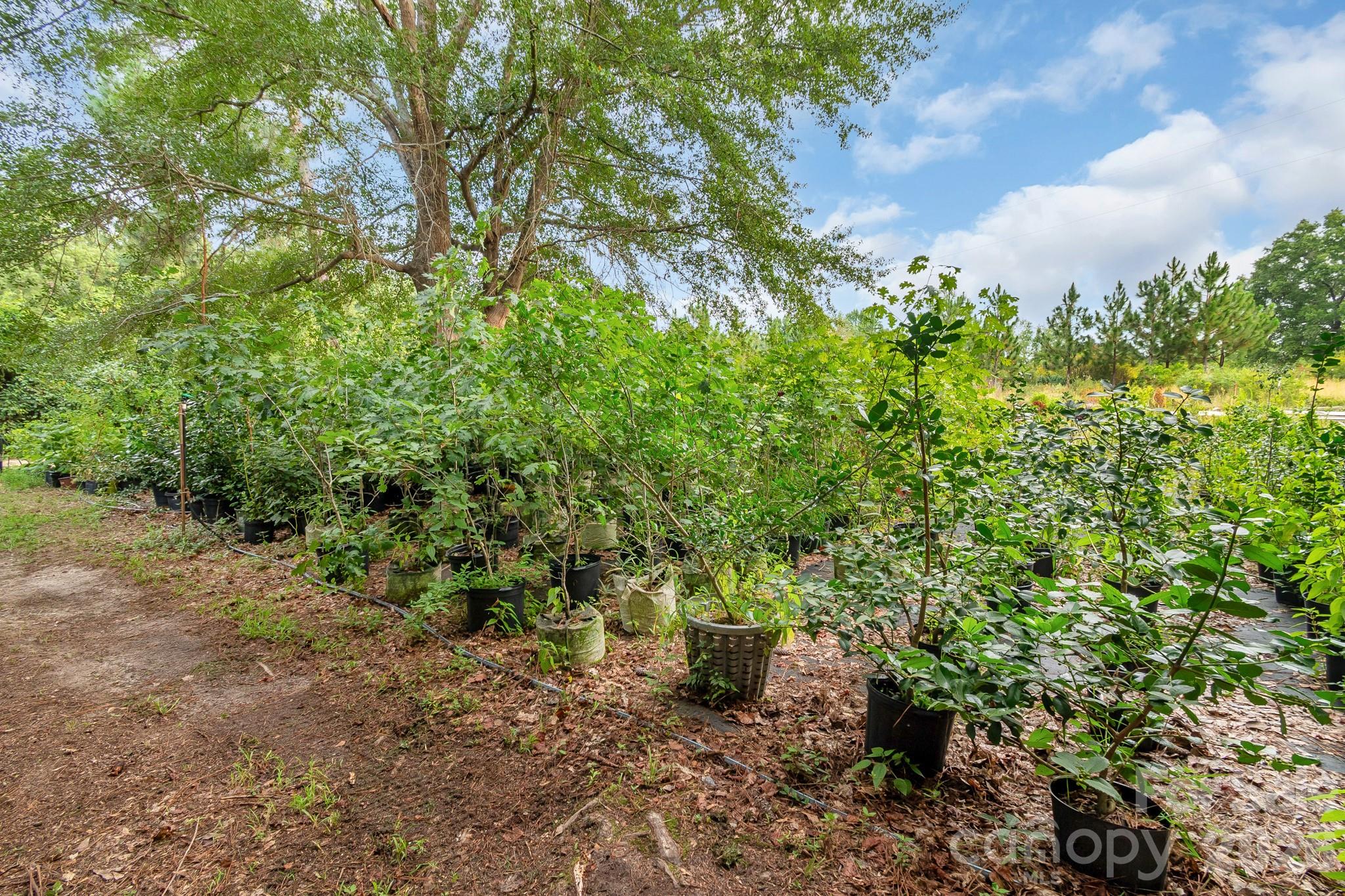 4594 Timrod Road Property Photo 46