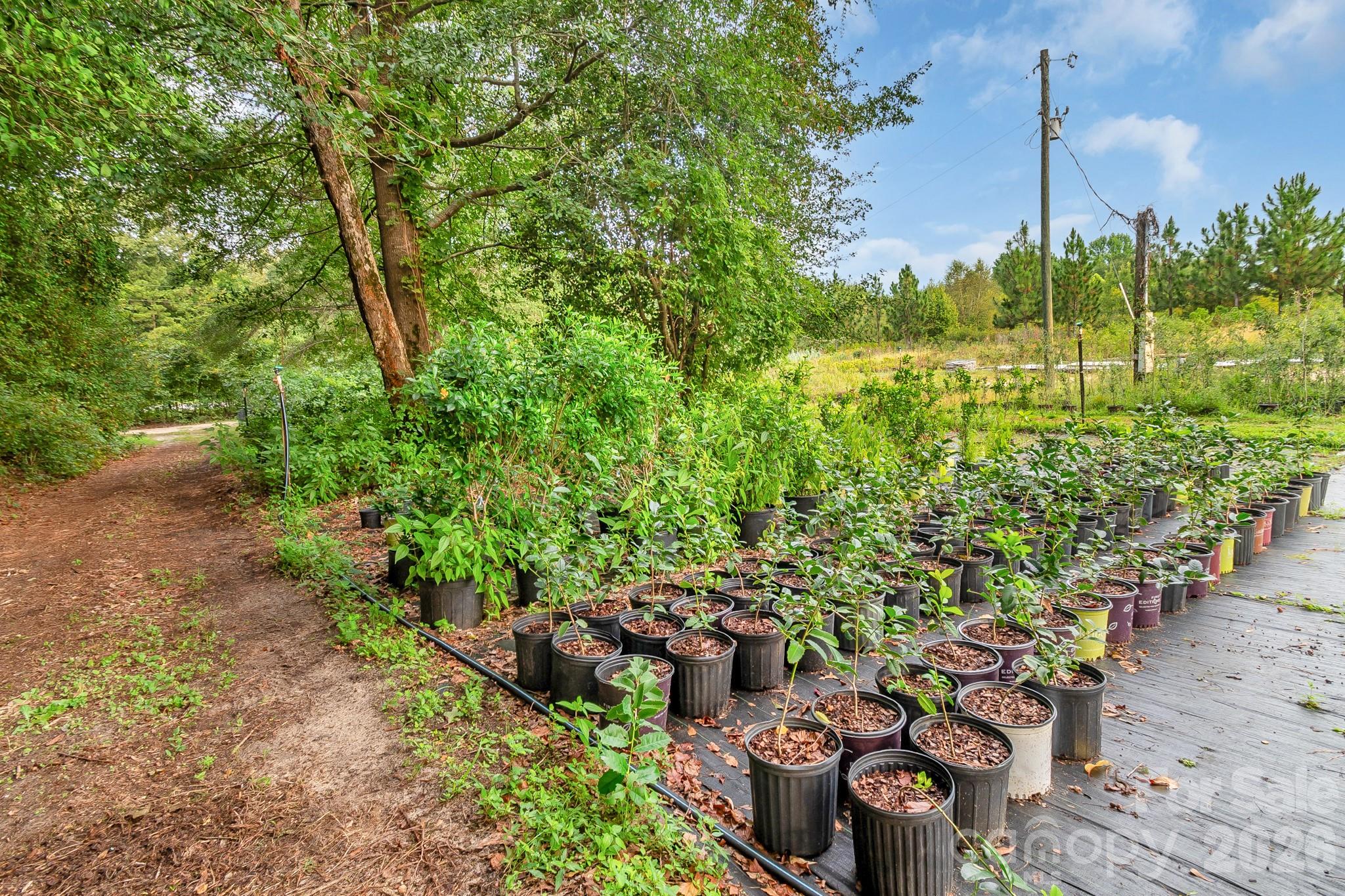 4594 Timrod Road Property Photo 47