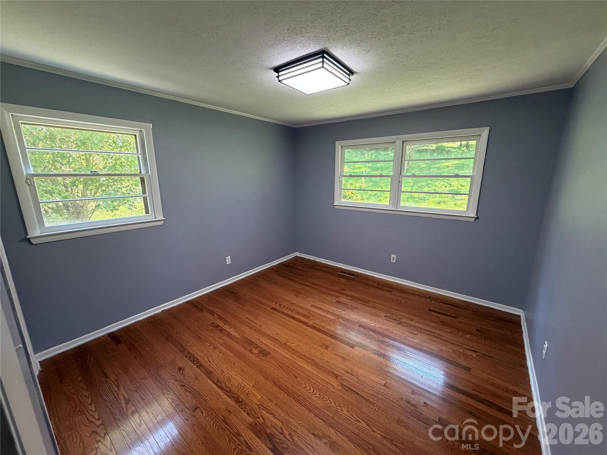 517 Goldwater Street Property Photo 17