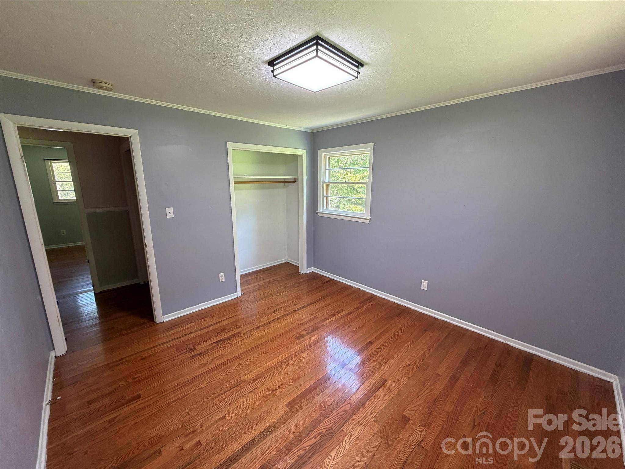 517 Goldwater Street Property Photo 18