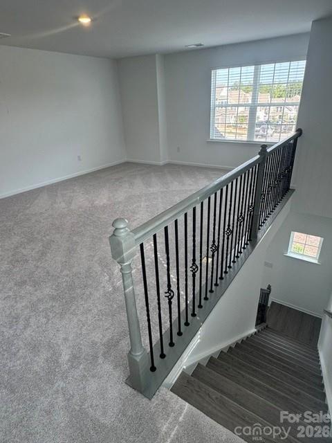 1536 Swallow Tail Drive 160 Property Photo 11