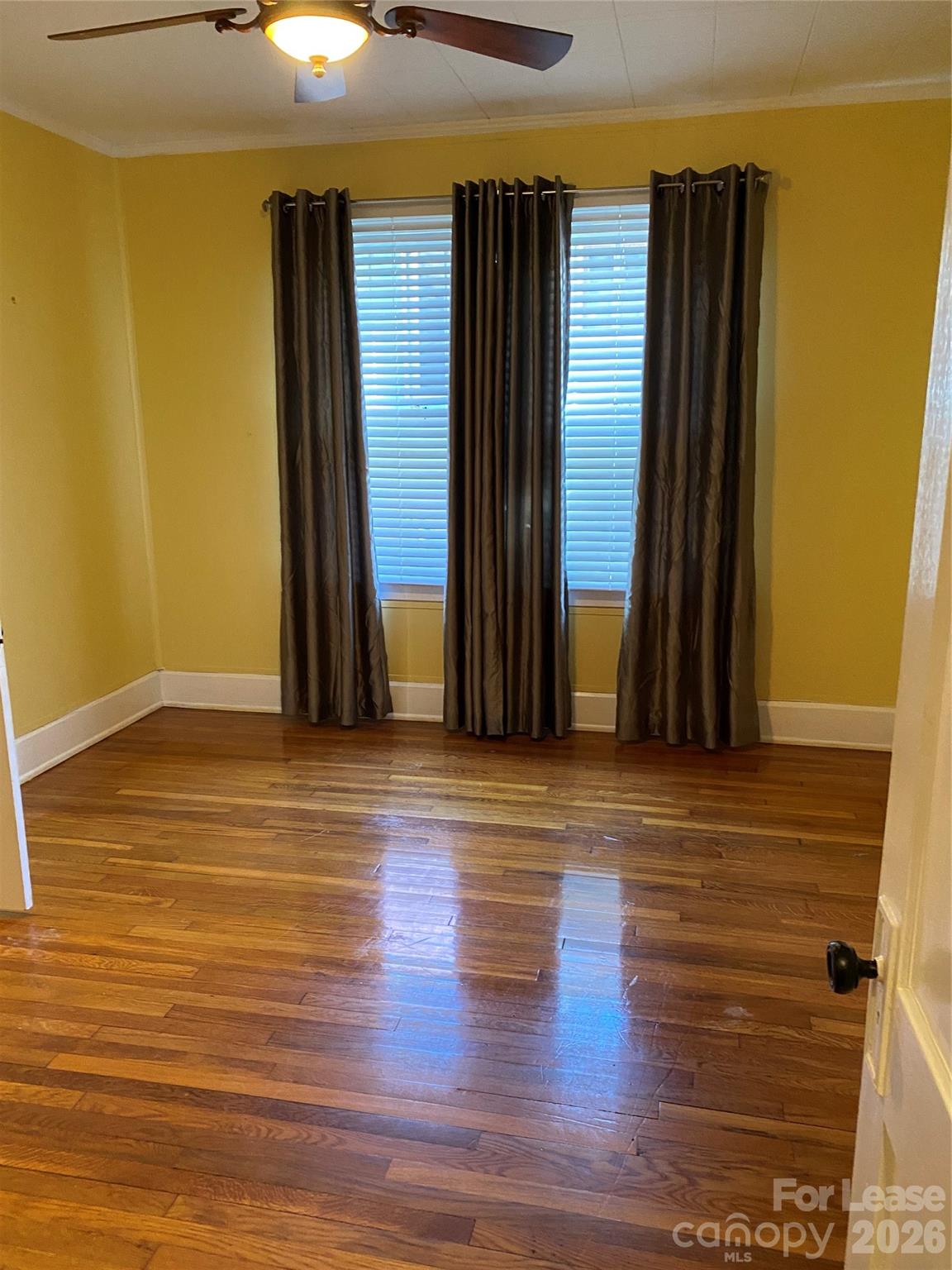 181 Flint Street Property Photo 37