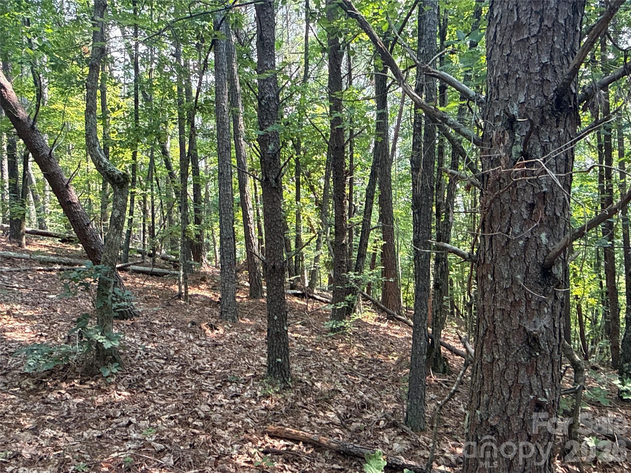 242 Golden Creek Ridge