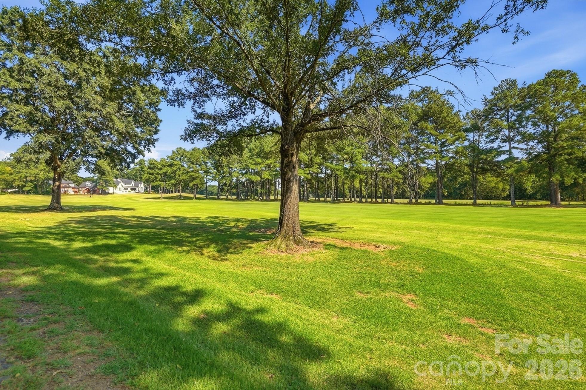 1159 Asheford Green Avenue Property Photo 42