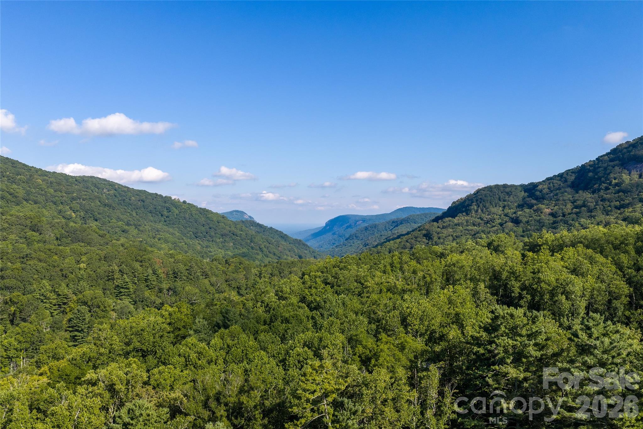 95 Chestnut Hill Loop Road Property Photo 6