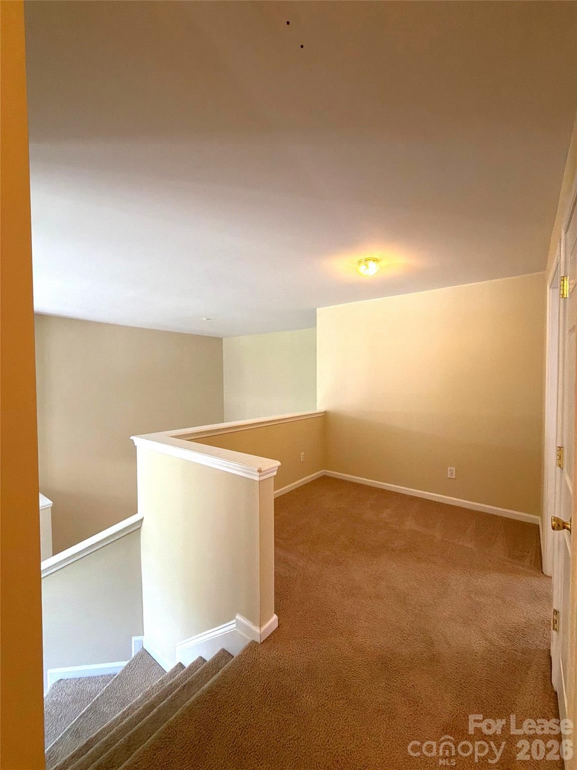 3100 Arklow Road Property Photo 26
