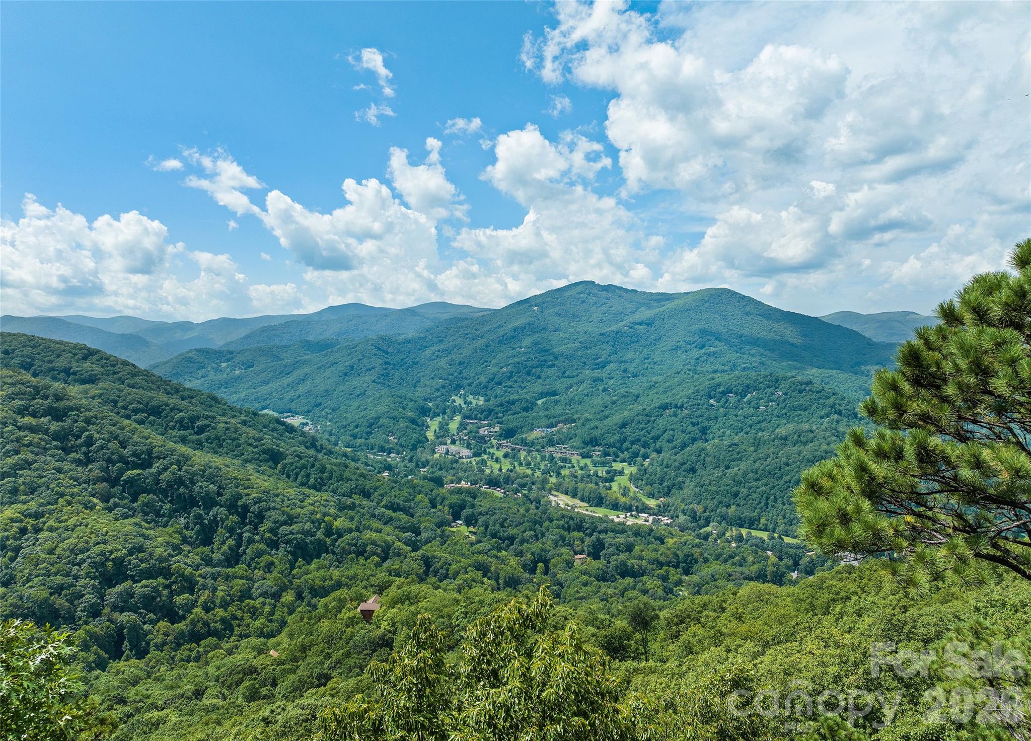 463 Walela Trail Property Photo 11