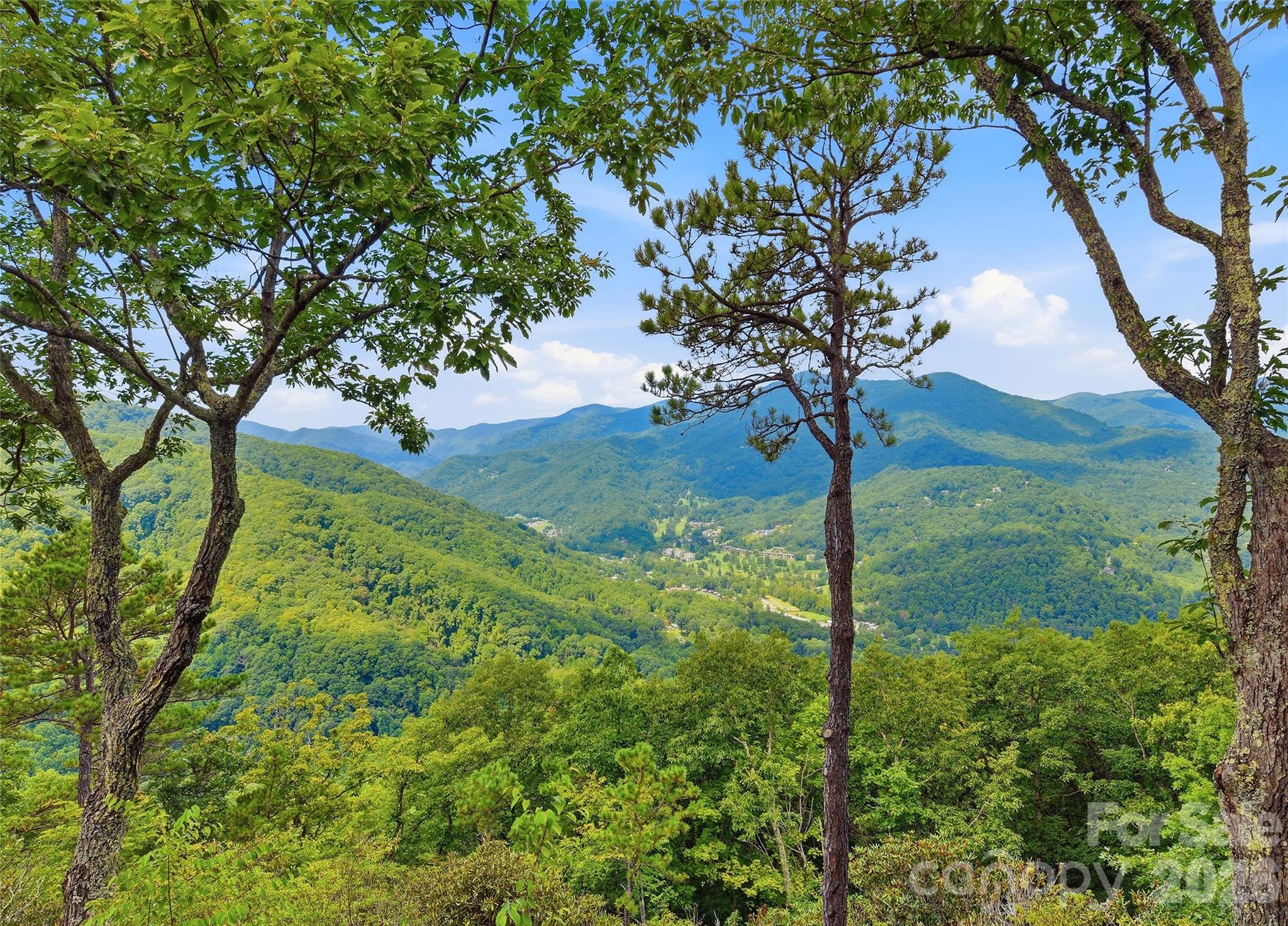 463 Walela Trail Property Photo 14